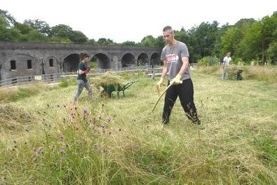 Scything workshop - July 14