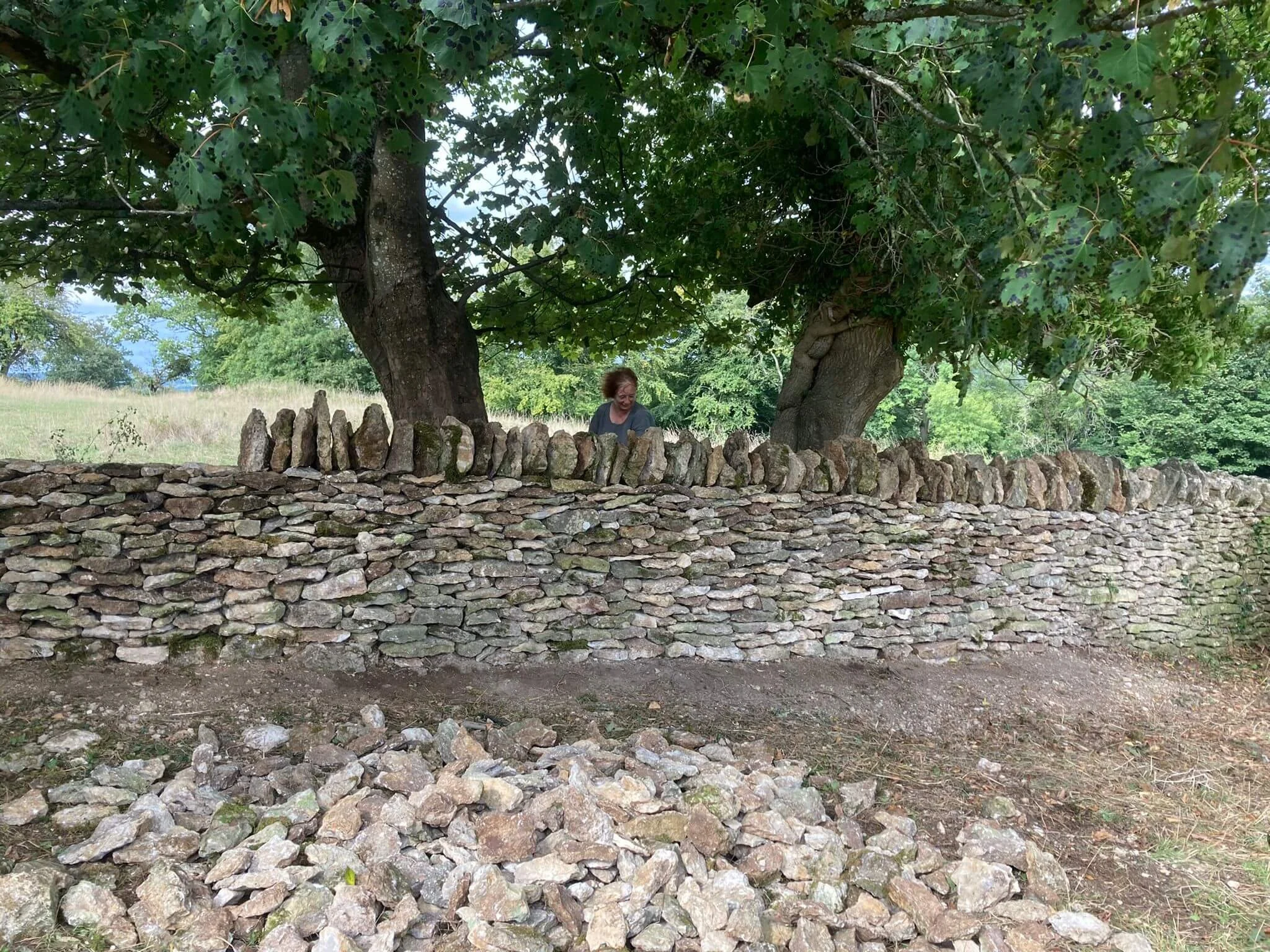 Dry Stone Walling April 2023