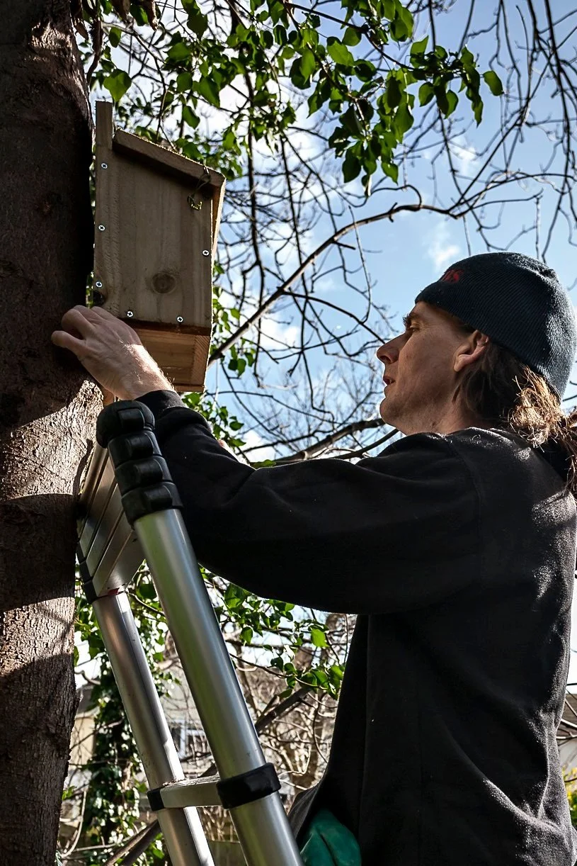 Show British birds some love