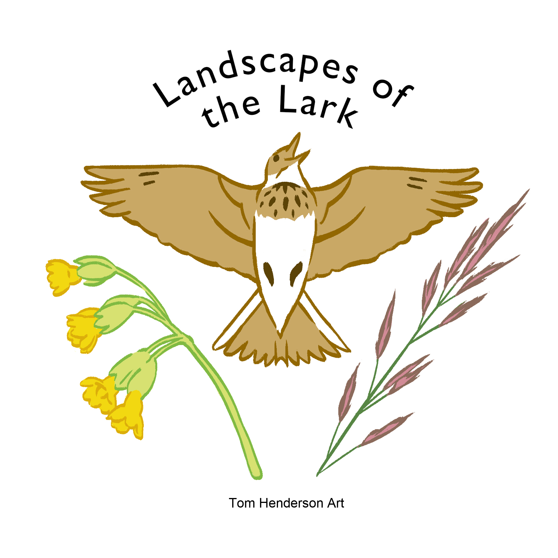 Stroud Skylark Spotting - Minchinhampton