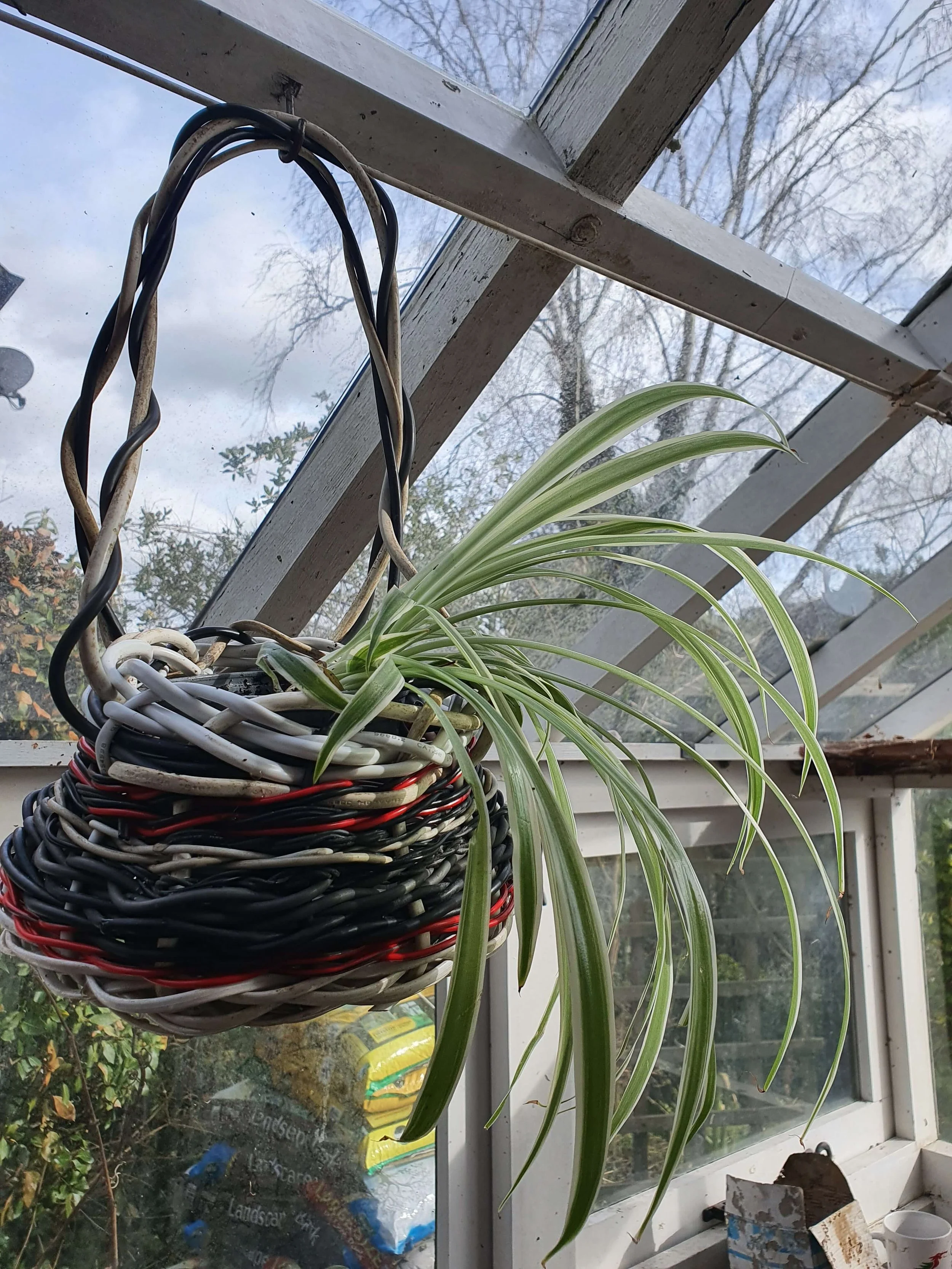 Wire Weaving Hanging Basket Workshop