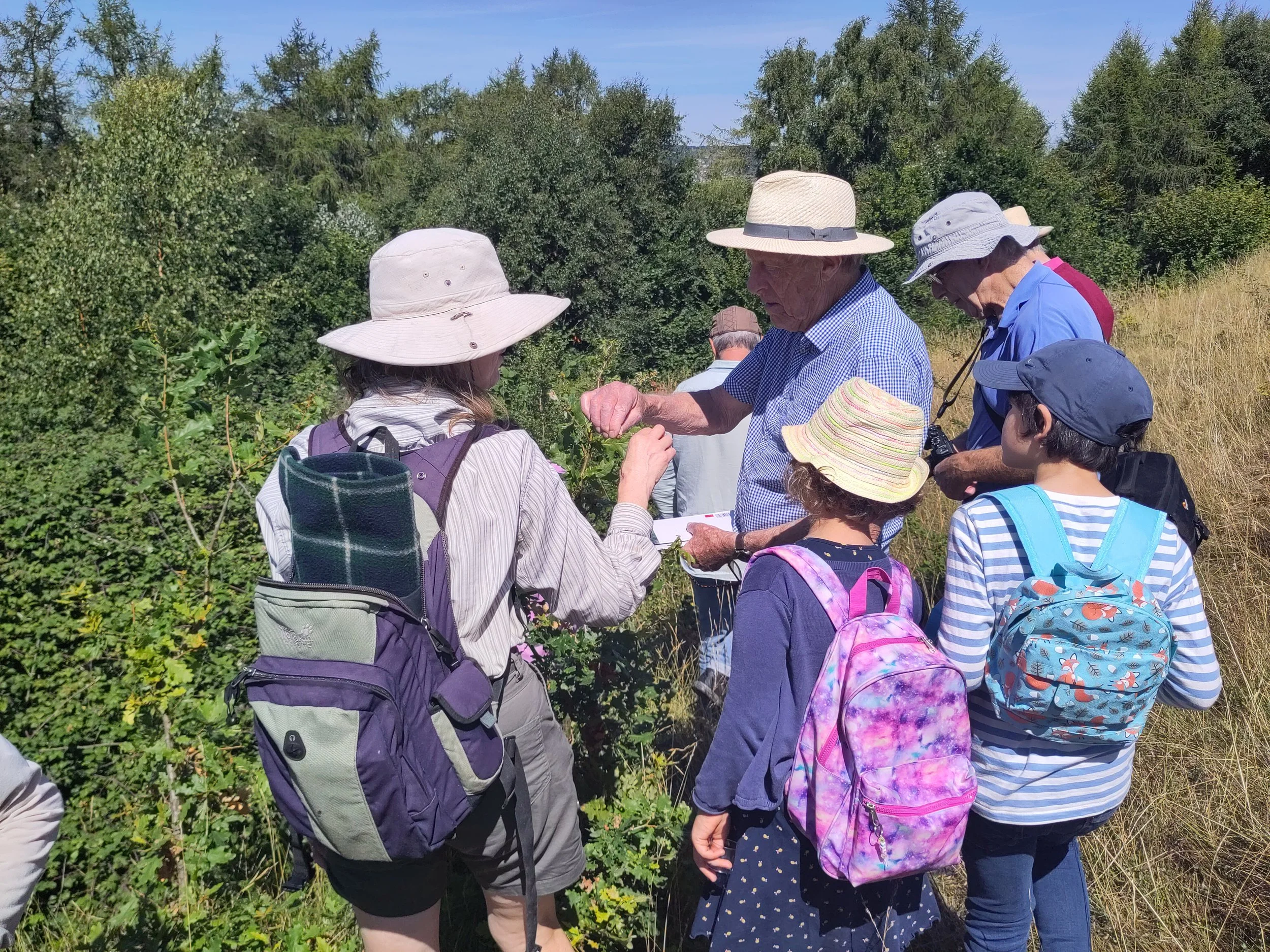 Cowpats on the Common!