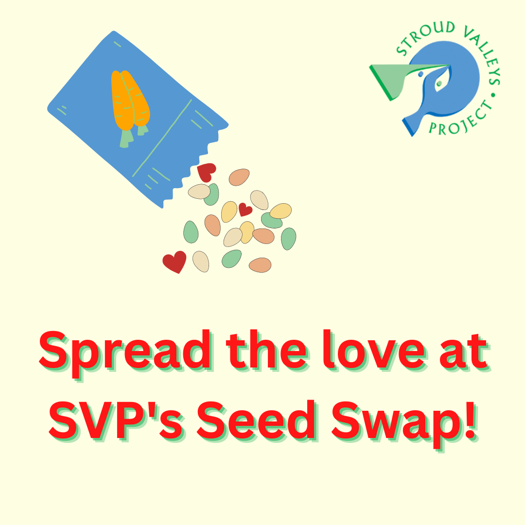 Seed Swap
