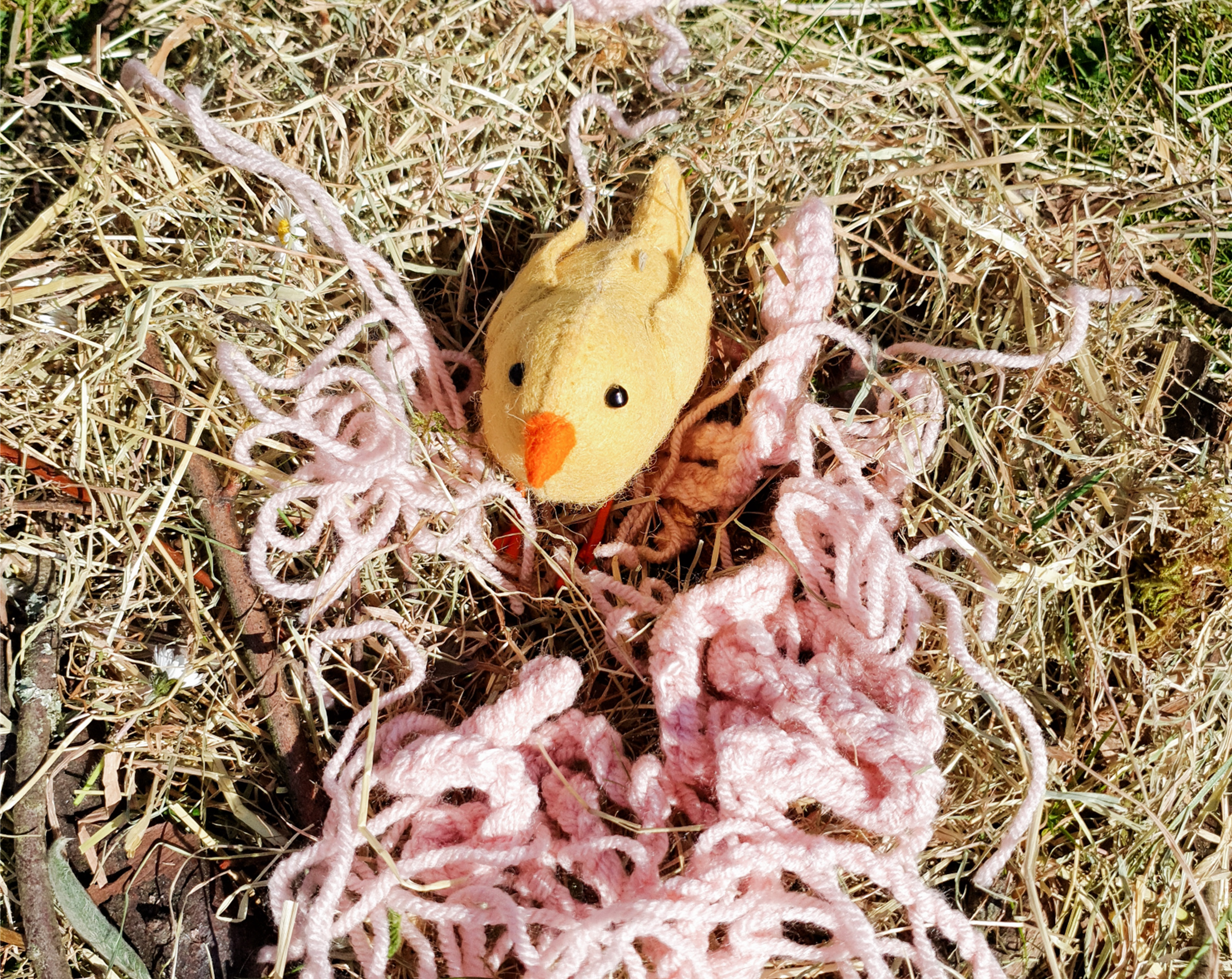 Minibeasties 10.4.26