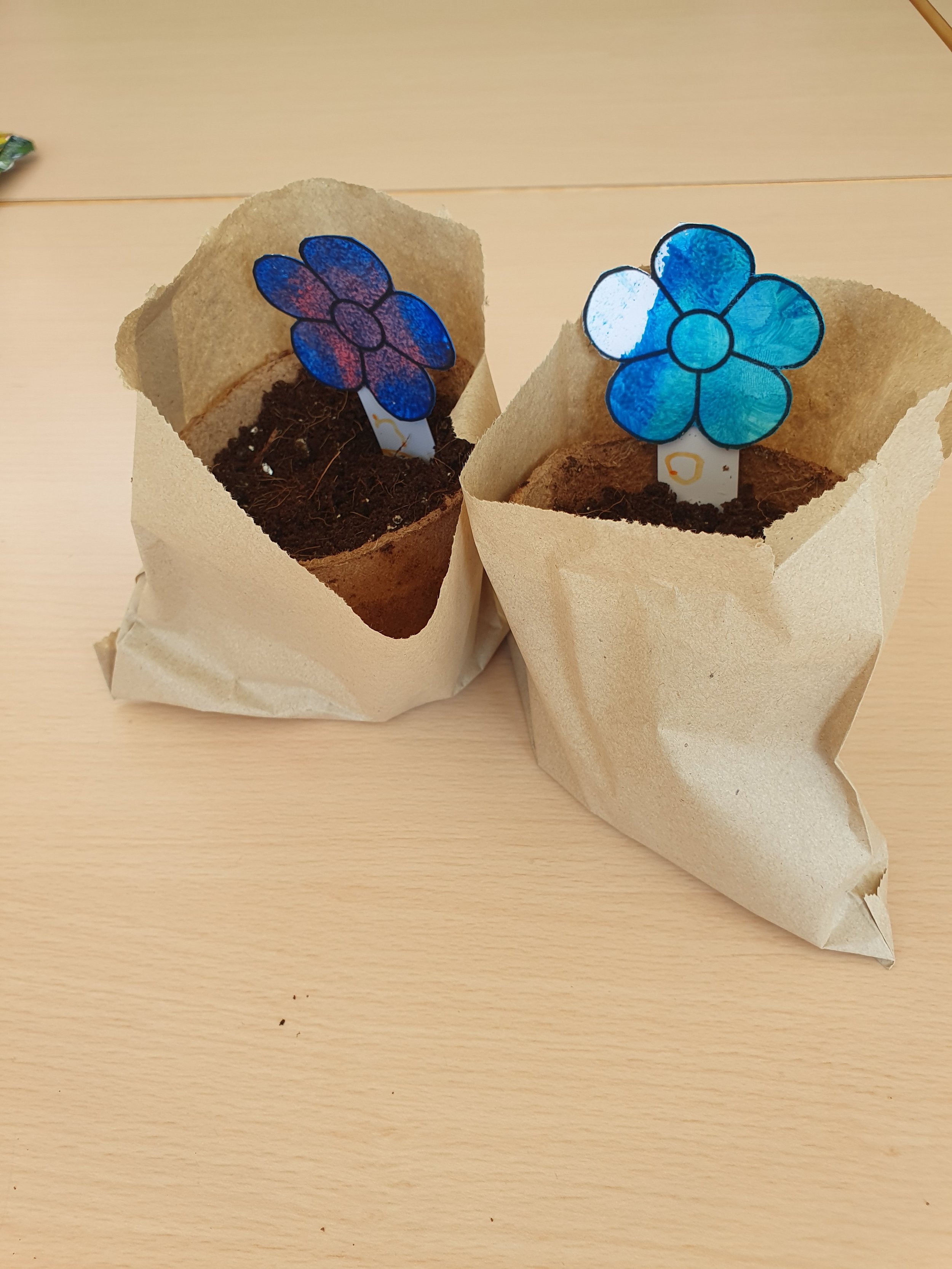 Minibeasties: Seeds and flowers