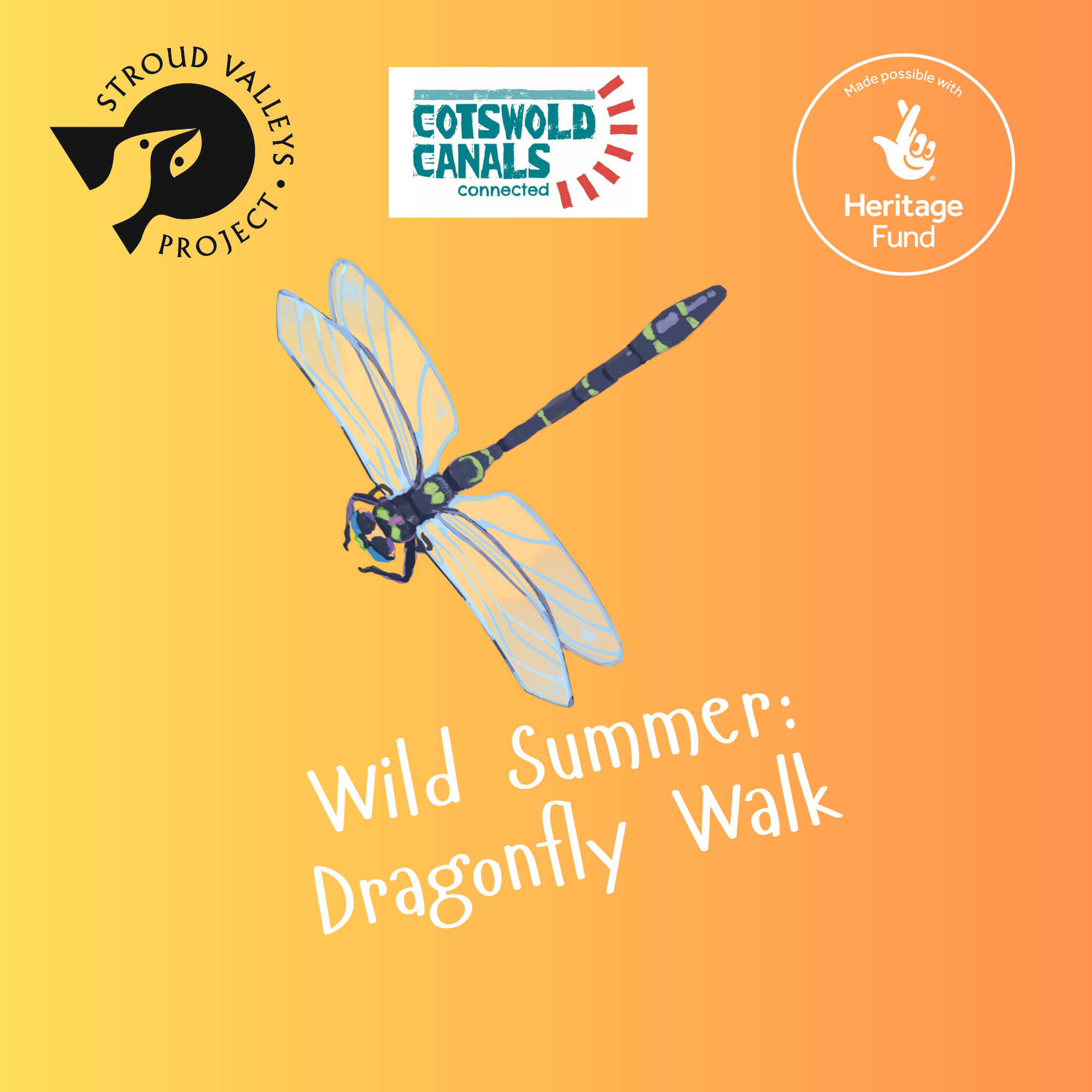 Wild Summer: Dragonfly Walk