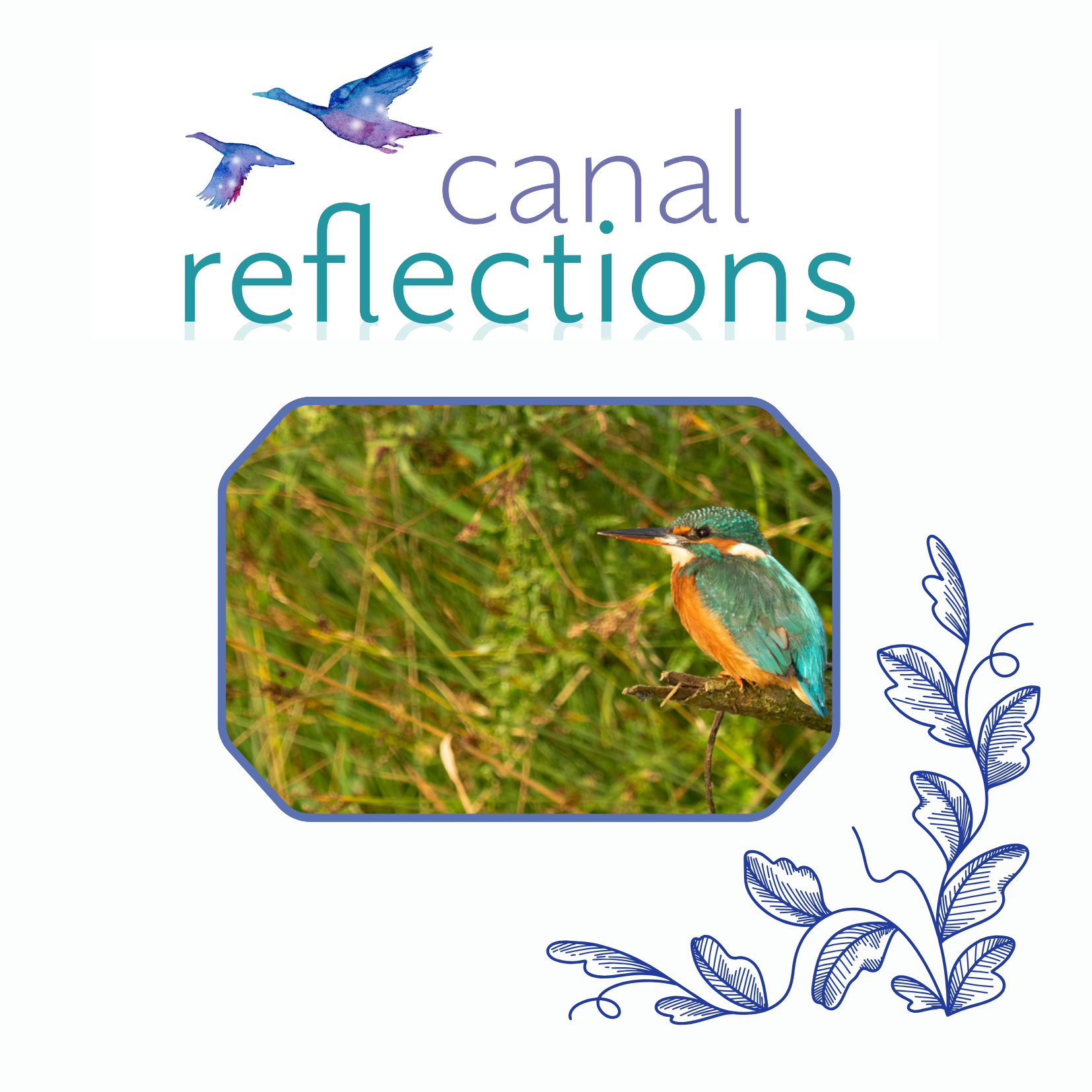Women’s Sunrise Canal Walk: Flowers & Wildlife Walk