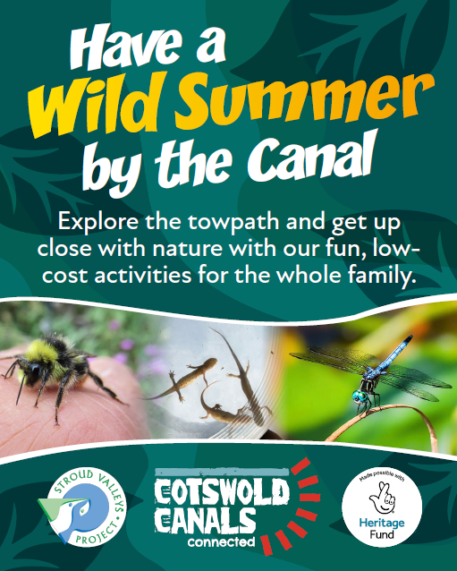 Wild Summer