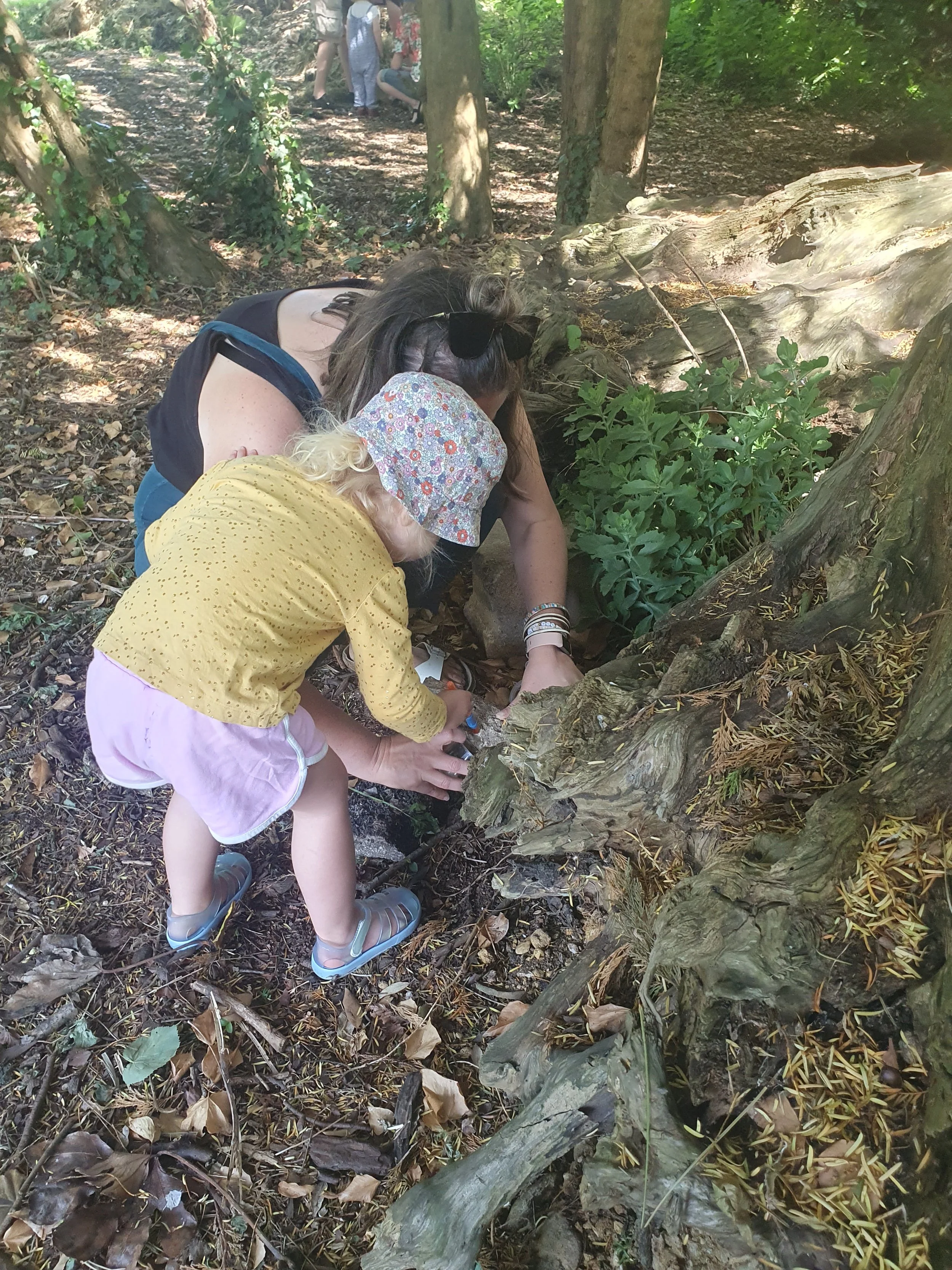 Minibeast Hunt: Second session