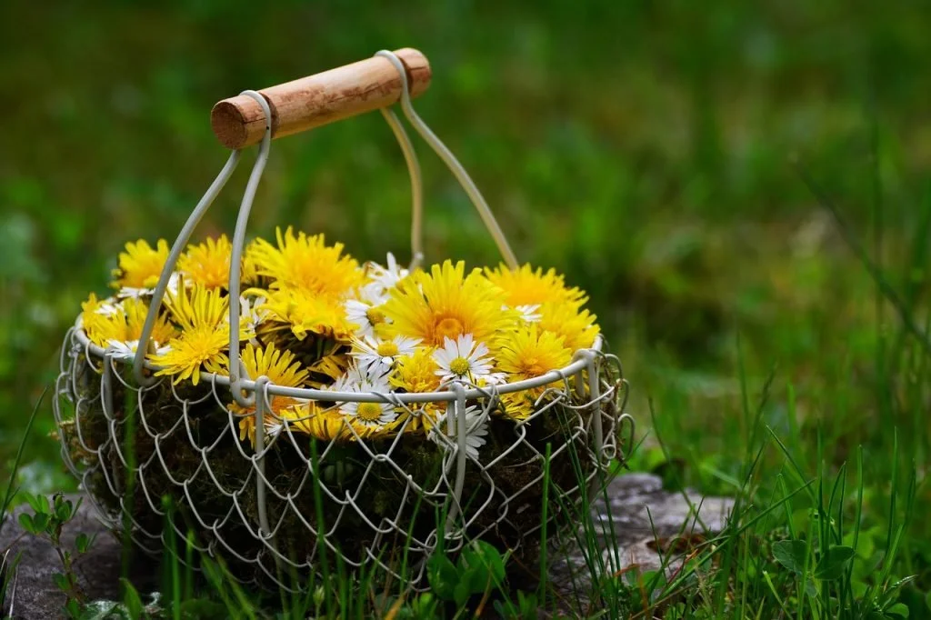 Herb Walk for Women