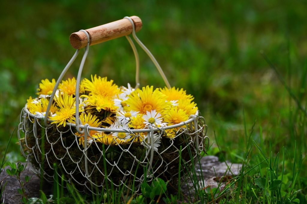 Herb Walk for Women