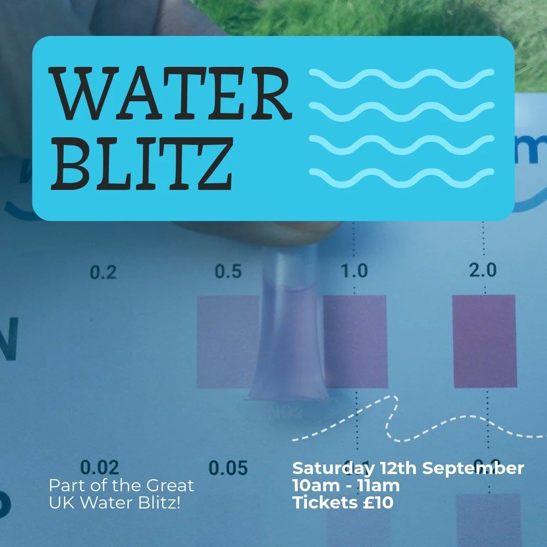 Water Blitz 1