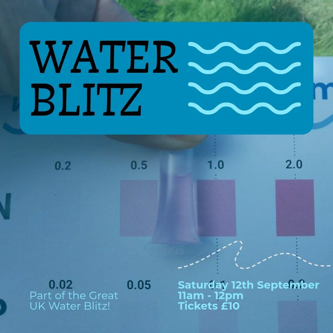 Water Blitz 2