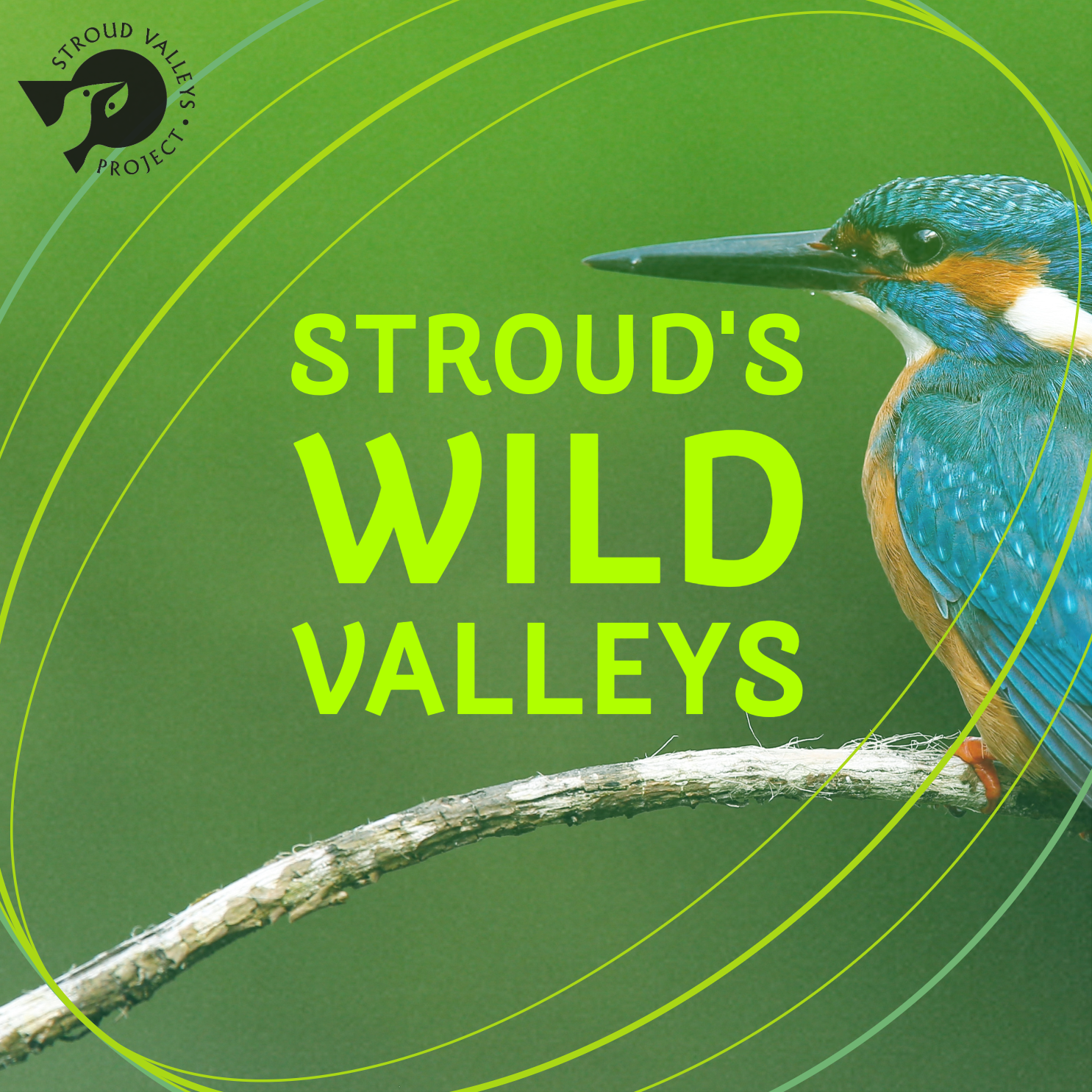 NEW Podcast - Stroud’s Wild Valleys