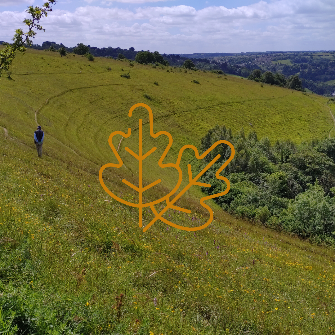 Rodborough Tab Harvest Eco-Fair