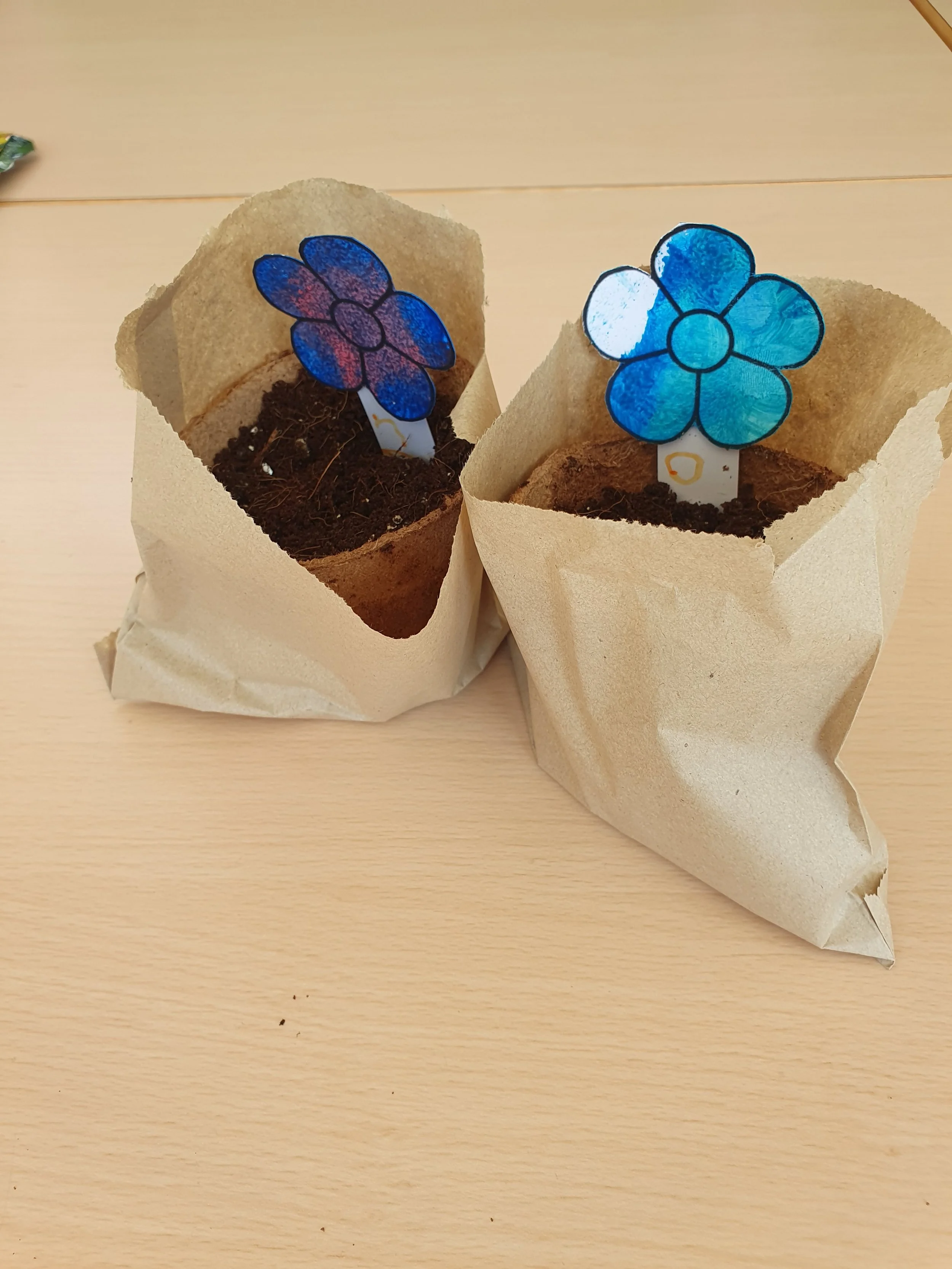 08.05.26 Minibeasties