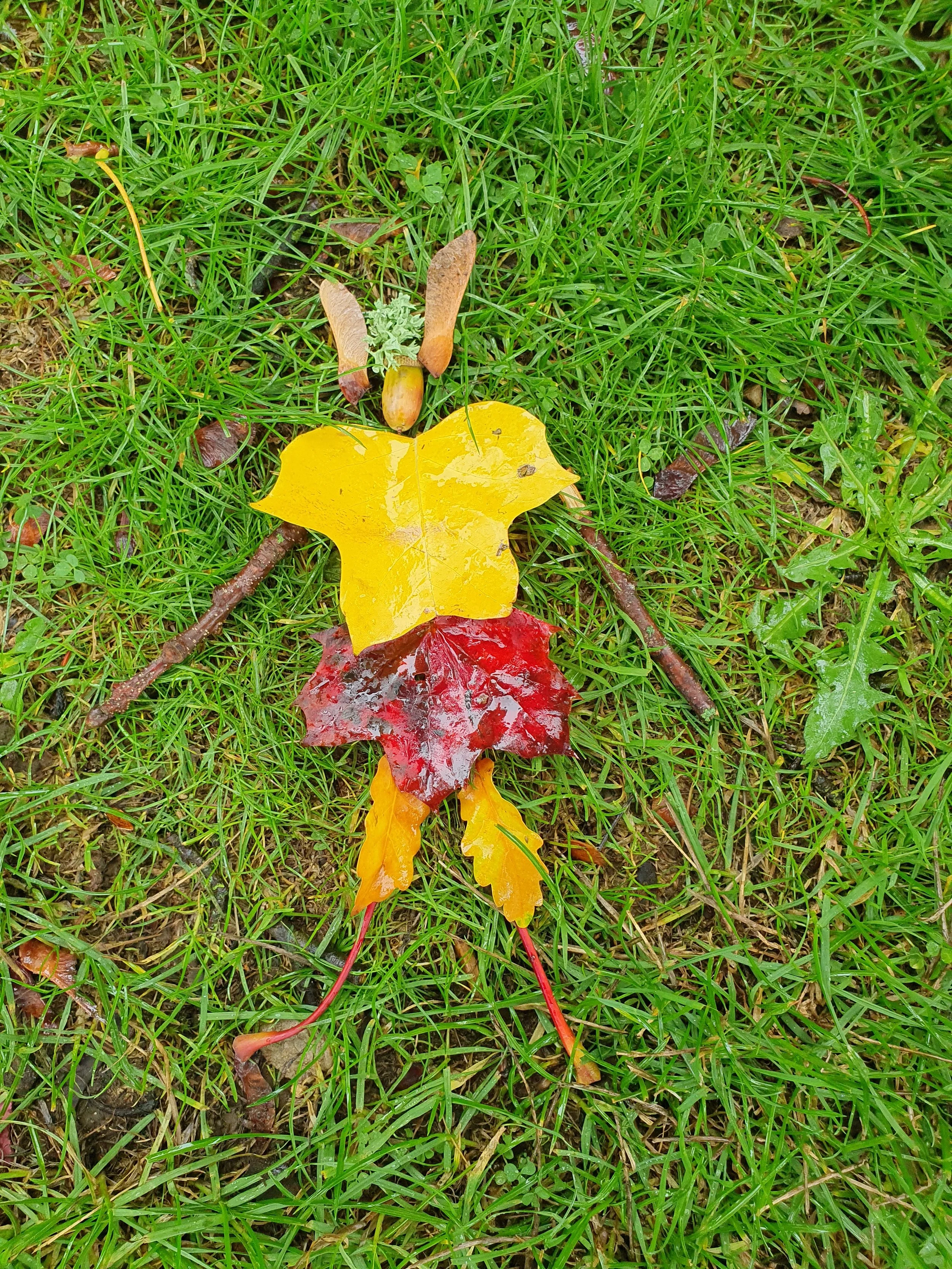 Minibeasties - Autumn Leaves