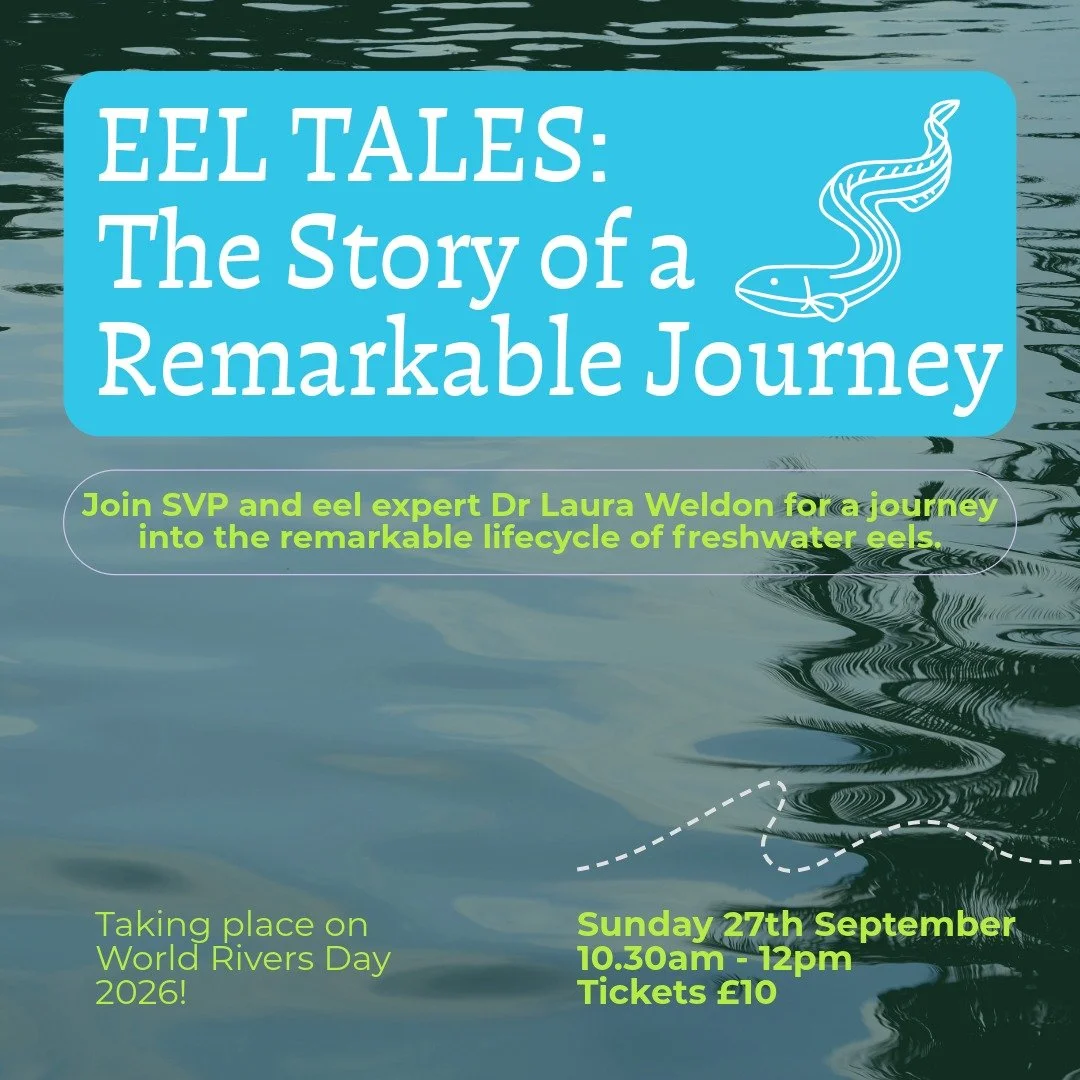 Eel Tales: The Story of a Remarkable Journey