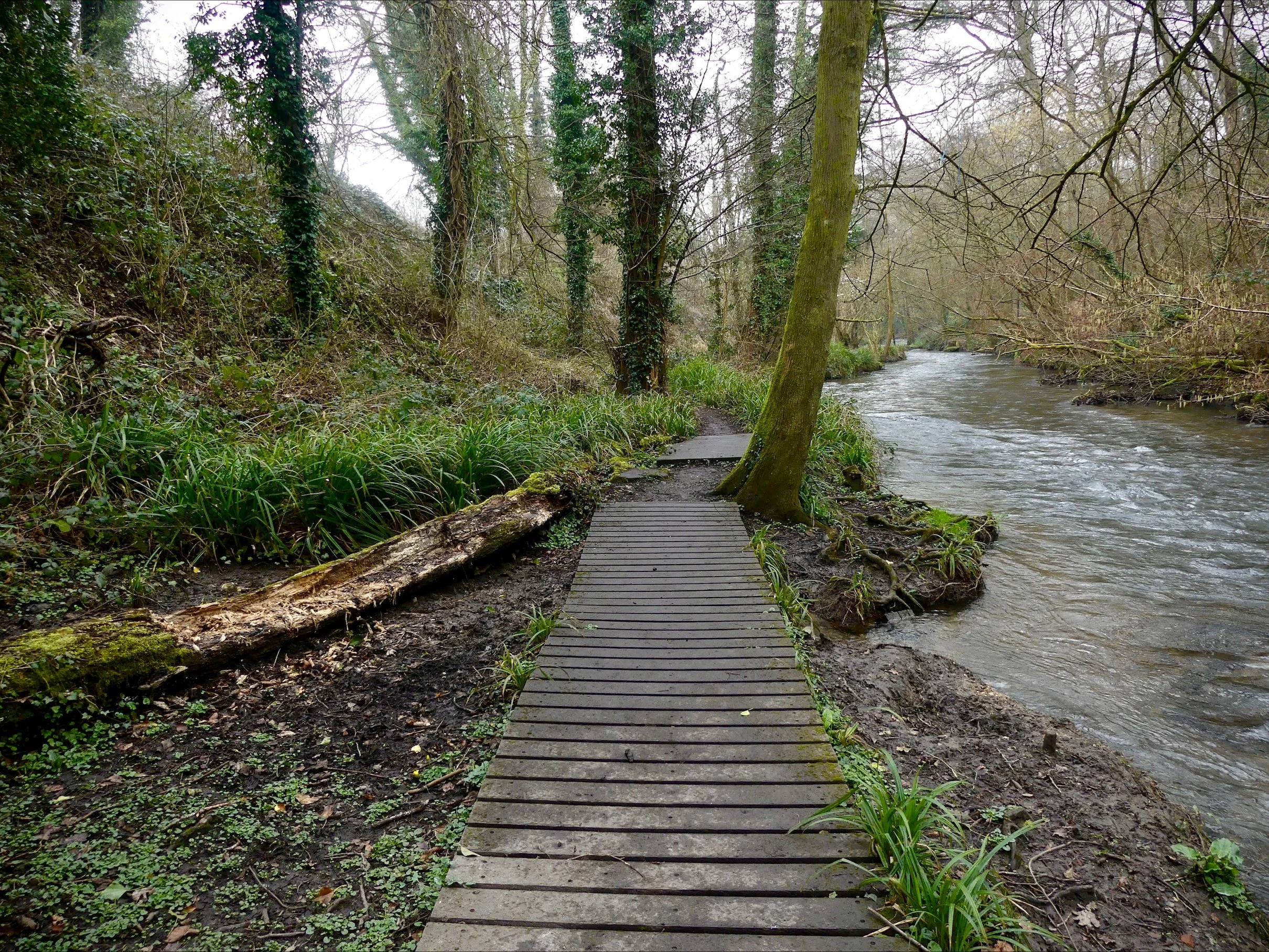 Family Nature Walk