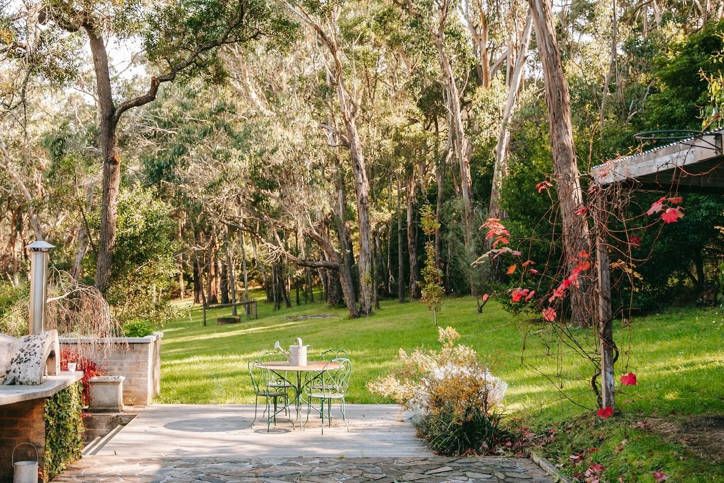 The perfect morning coffee spot between the trees, then head on inside in front of the fire ☕️