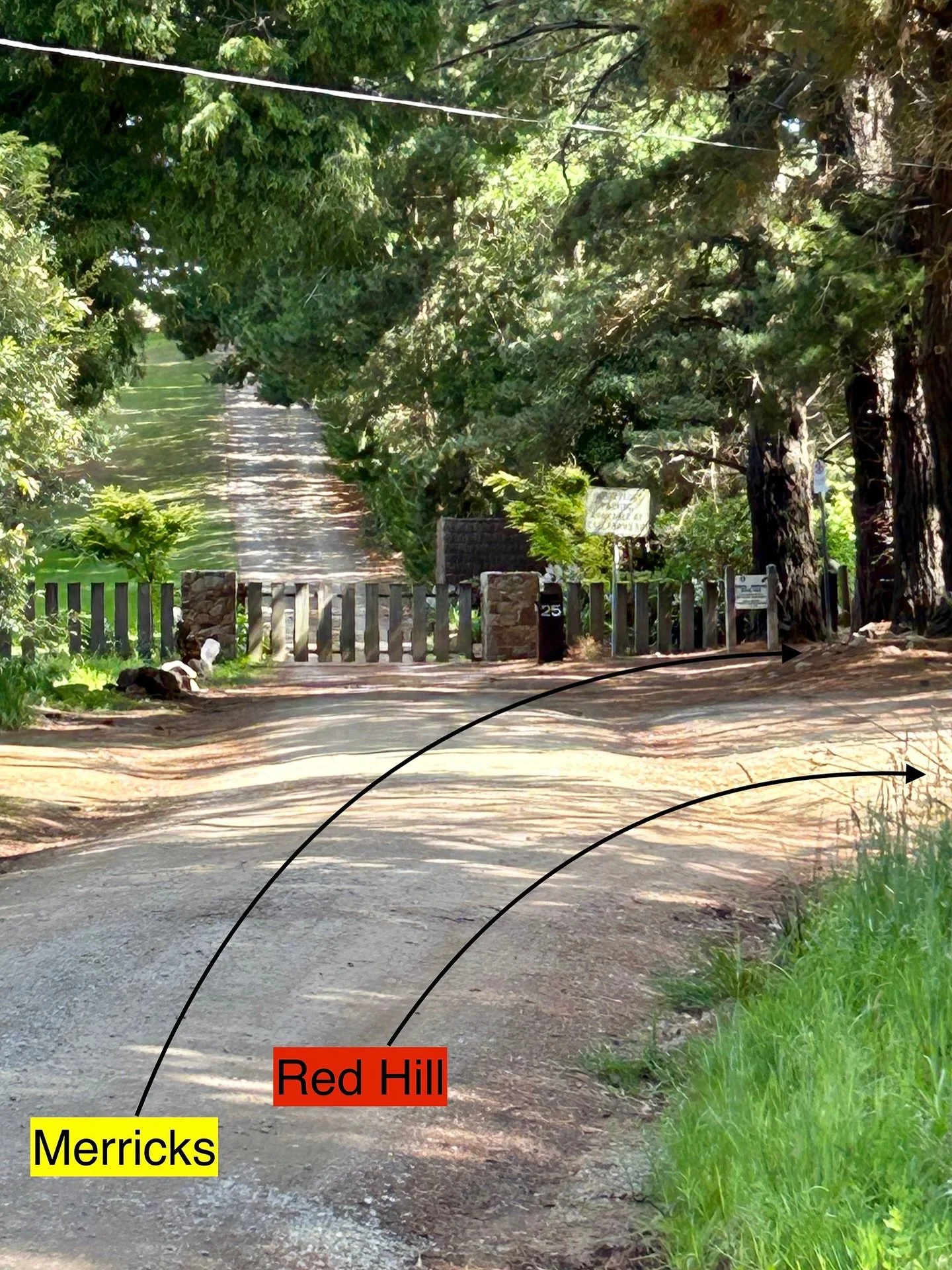 How lucky are we to have the beautiful Merricks-Red Hill trail right at our door step. Elsewhere is smack bang in the middle so you can easily stroll to either end. Sometimes it’s hard to miss the track entrances so save this post for next time