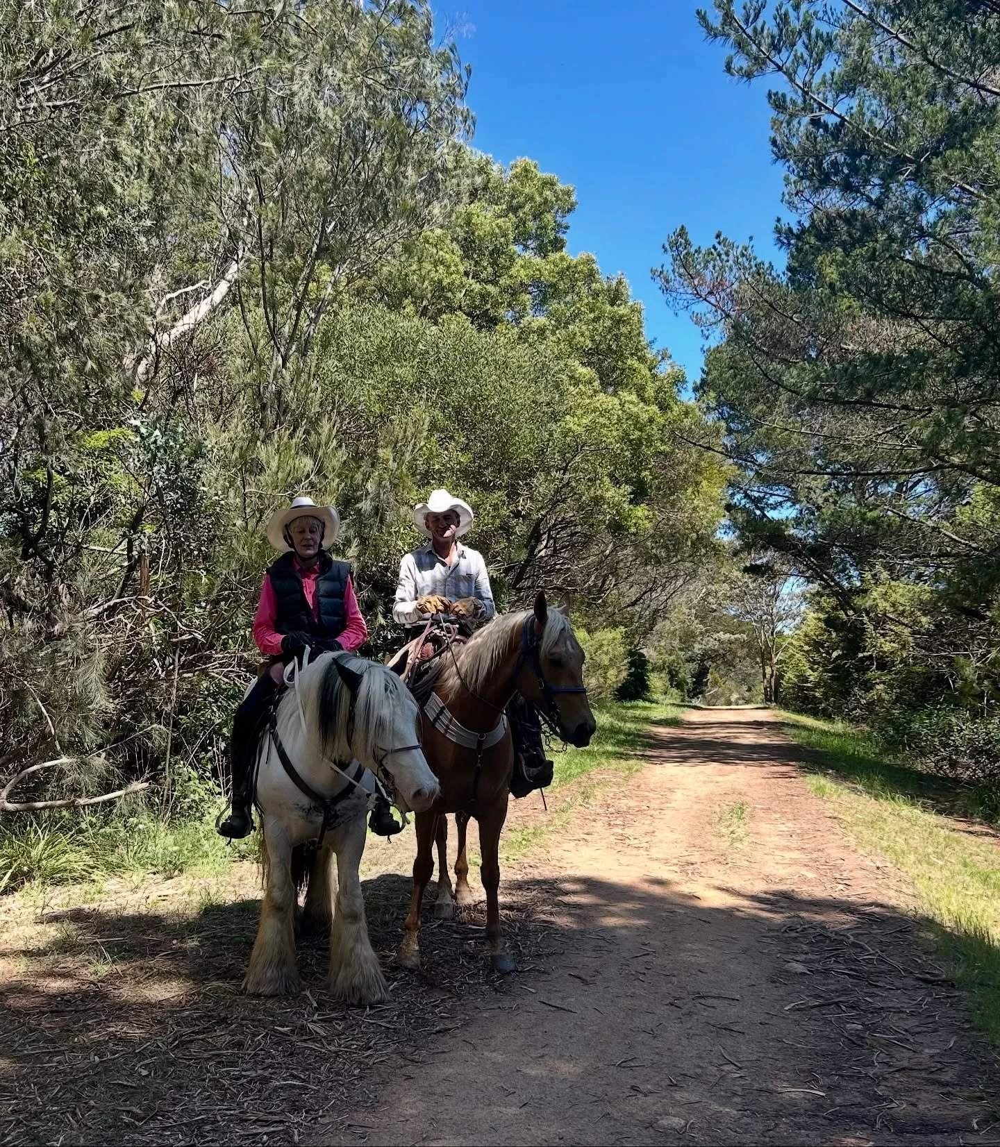 Stunning sunny day viewed from the Merricks end of the Red Hill Trail. Stonier winery is a favourite spot for a cheese platter and a glass or bottle of wine using grapes grown organically in many of the vineyards you see along the trail!