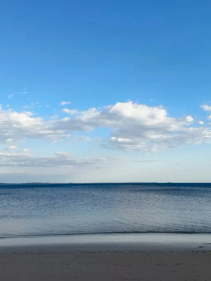 Come stay Elsewhere for a slice of nature 🌸🌈☀️🌻