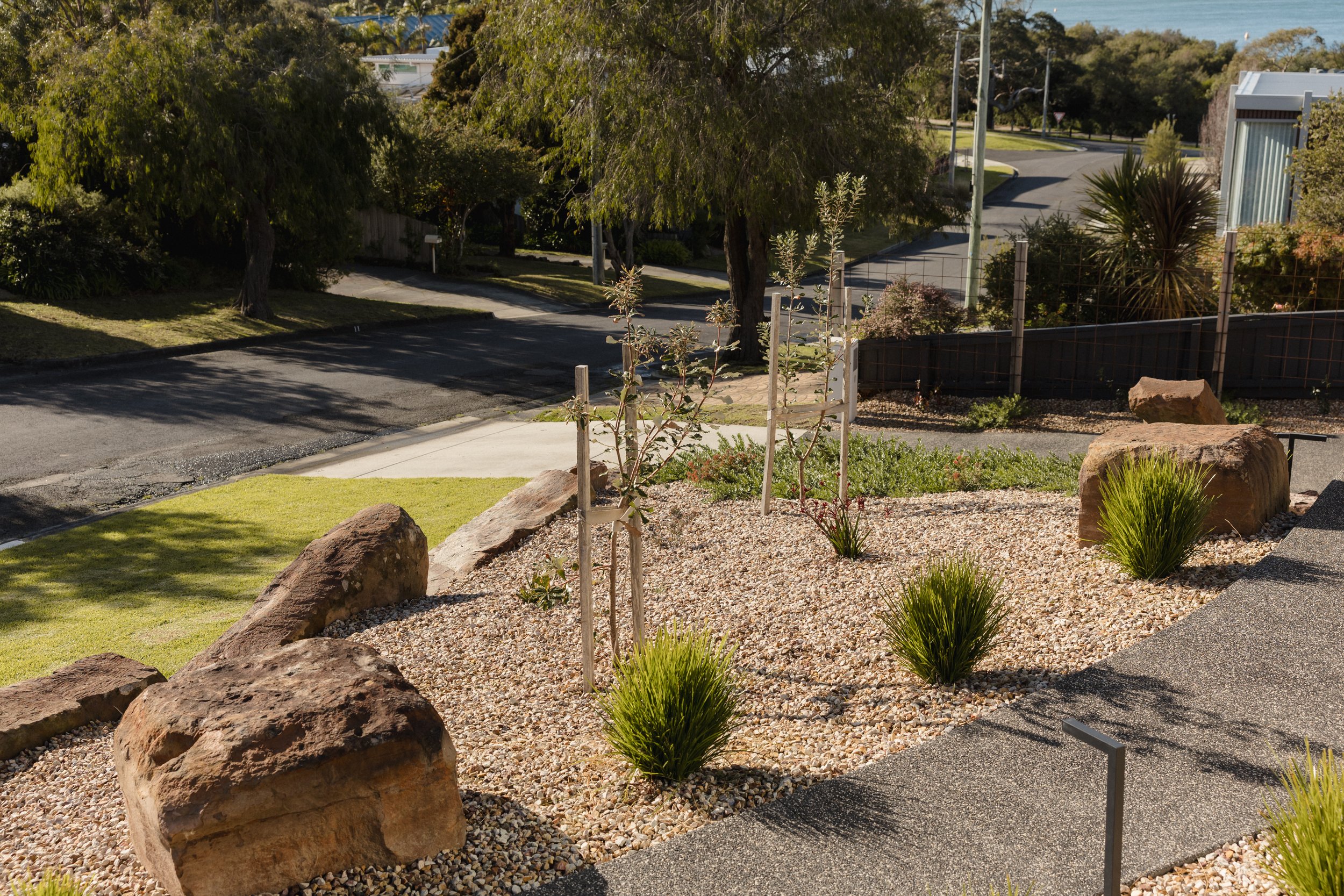 A landscaped yard with large rocks, small green plants, and young trees supported by wooden stakes, with a sidewalk and street in the background.