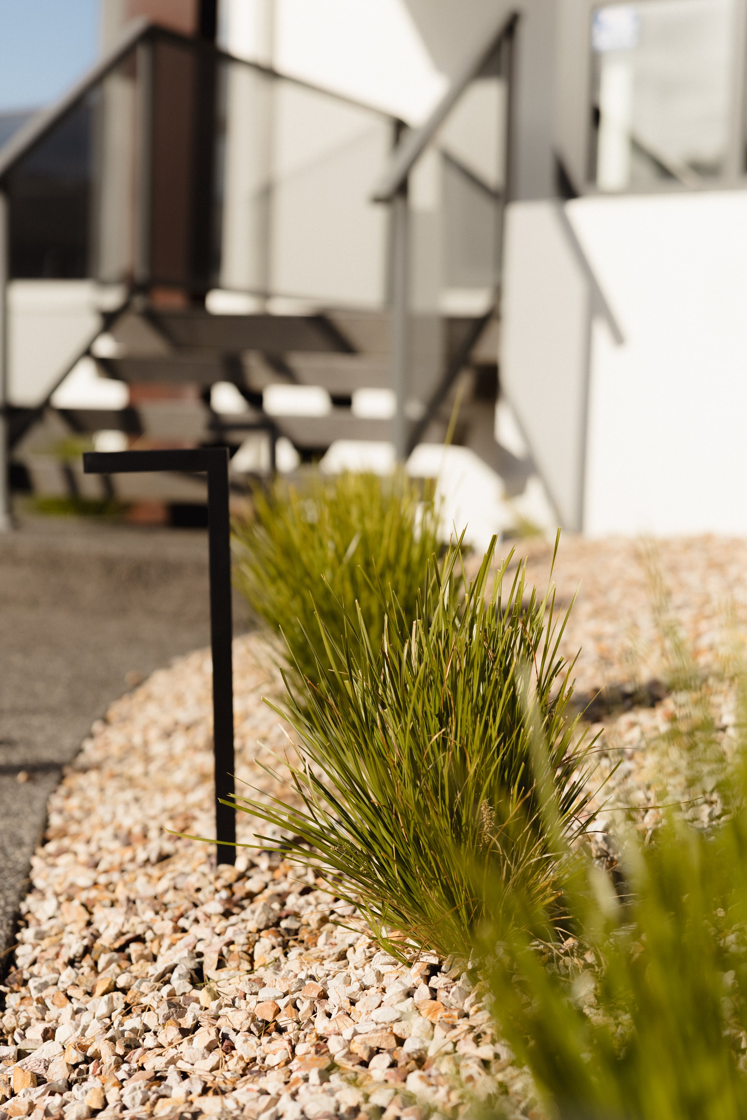 Close-up of desert landscaping with green grasses and gravel in front of modern outdoor stairs.