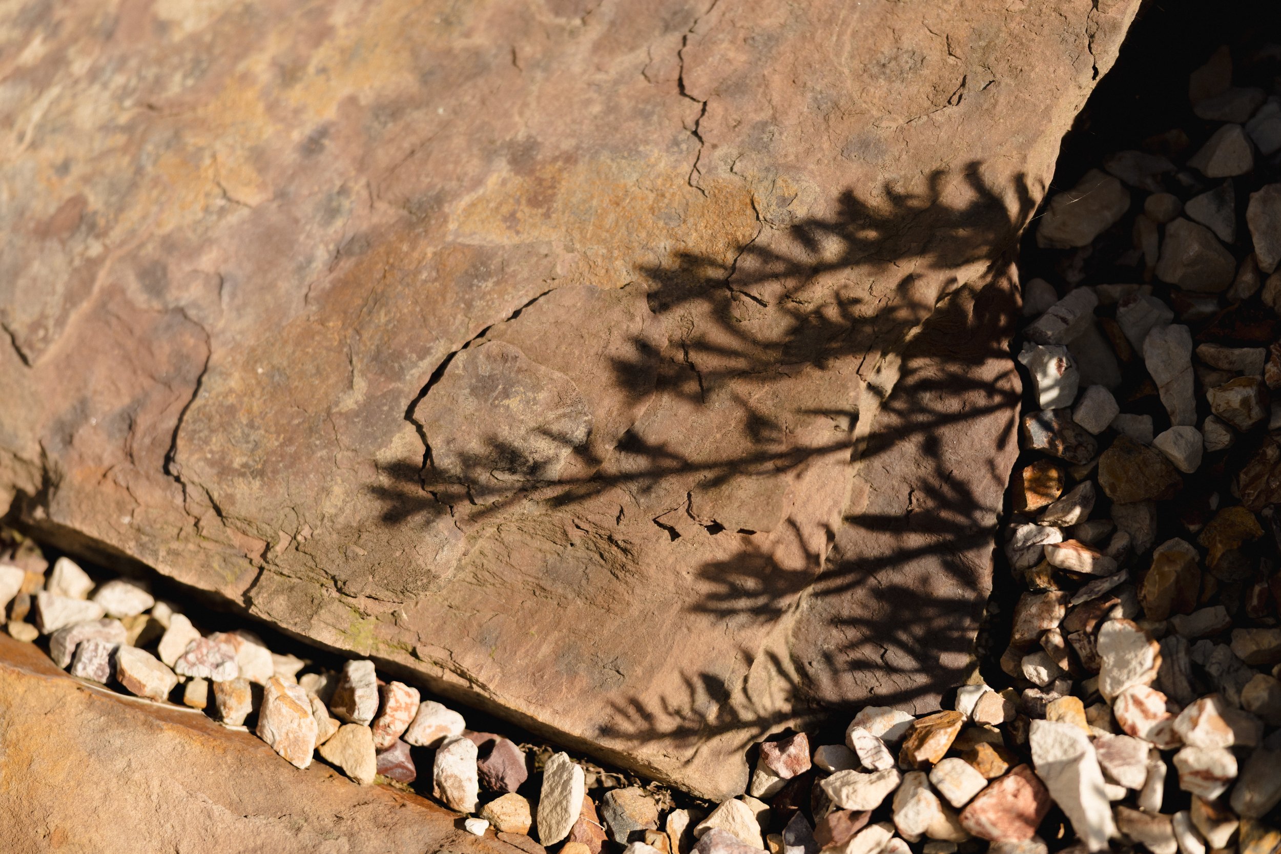 Close-up of a large rock with a shadow of a plant cast on it, surrounded by smaller rocks and gravel.