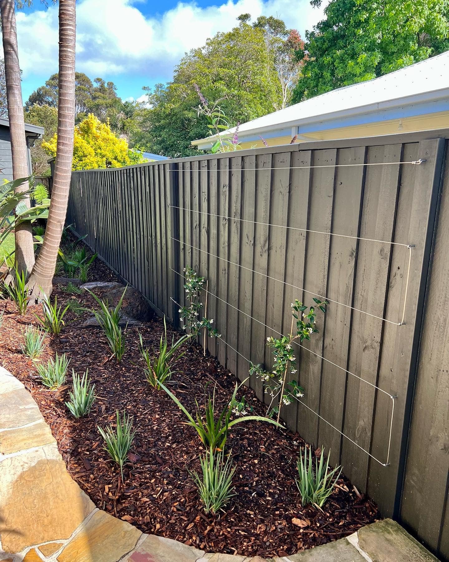A backyard garden with a dark wooden fence, small plants, and a stone pathway.