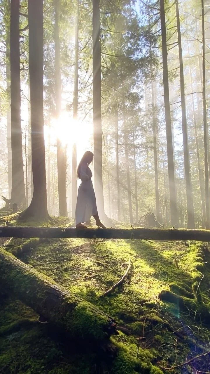 Online: Solar Eclipse Women’s Circle - Virgo