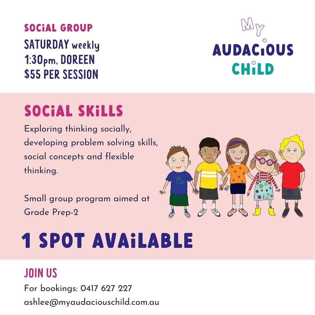 Limited spots for Term 3! Group sessions engage students, develop important skills and are more affordable! #myaudaciouschild #doreen #mernda #tutoring #autism