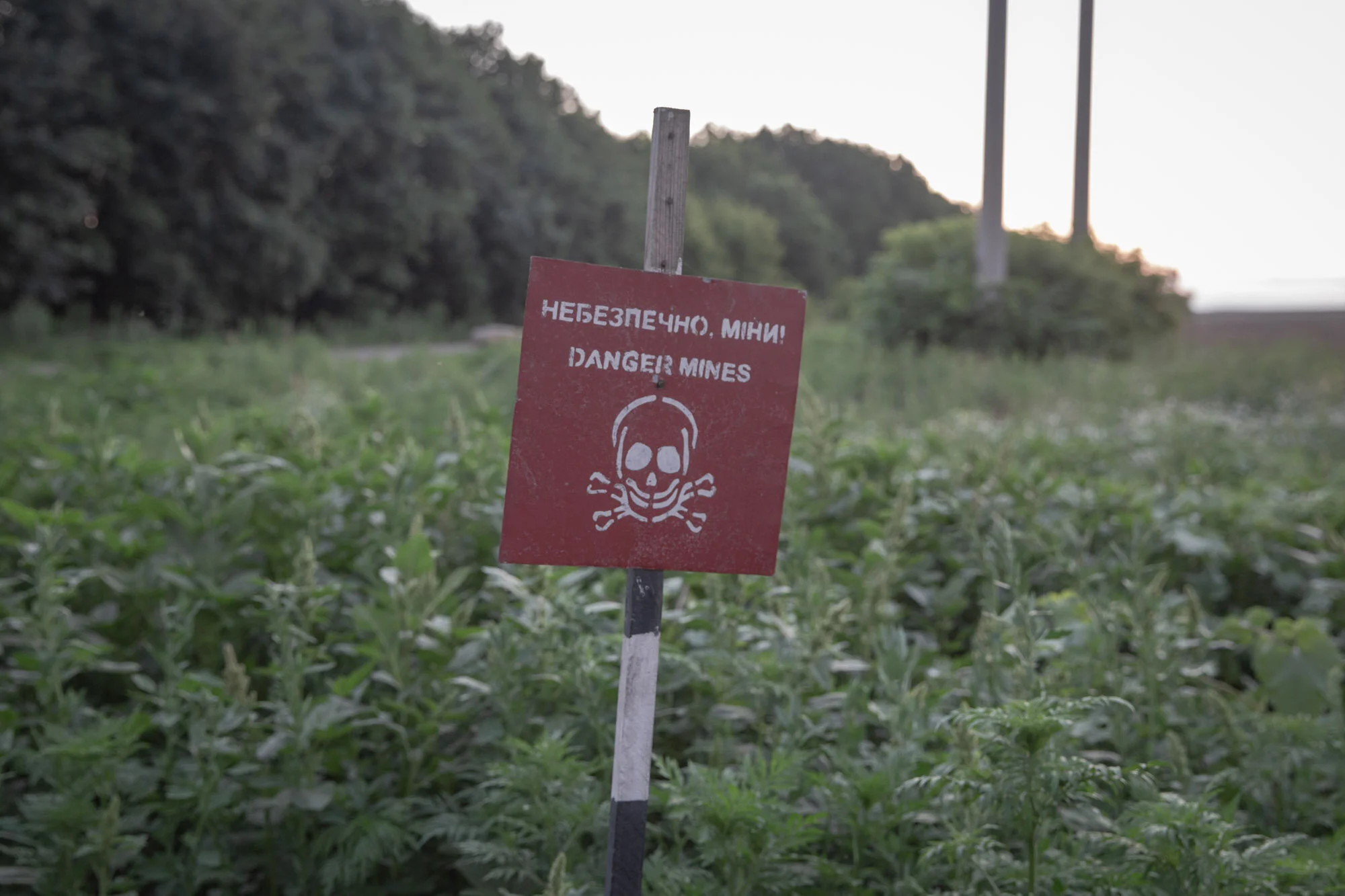A ‘Danger – mines’ warning sign posted in a field near a military checkpoint on one the roads in Donetsk Oblast