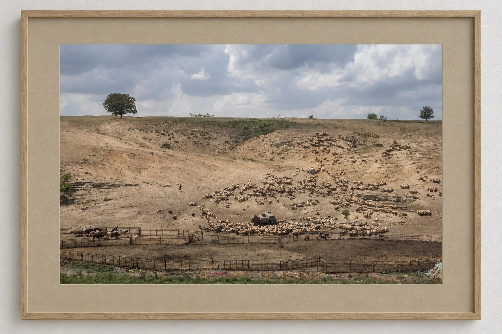  70x50 cm, 5 cmm passepartout, natural wood frame, float glass, Photo Matt Fibre 200g, alpha-cellulose paper (1 piece presented in the Between Earth and Table photo exhibition)    250 Euro    (delivery costs excluded)      For reserving any listed pr