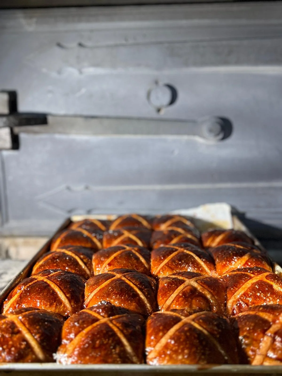 PHOTO-2026-04-01-09-02-27 2.jpg