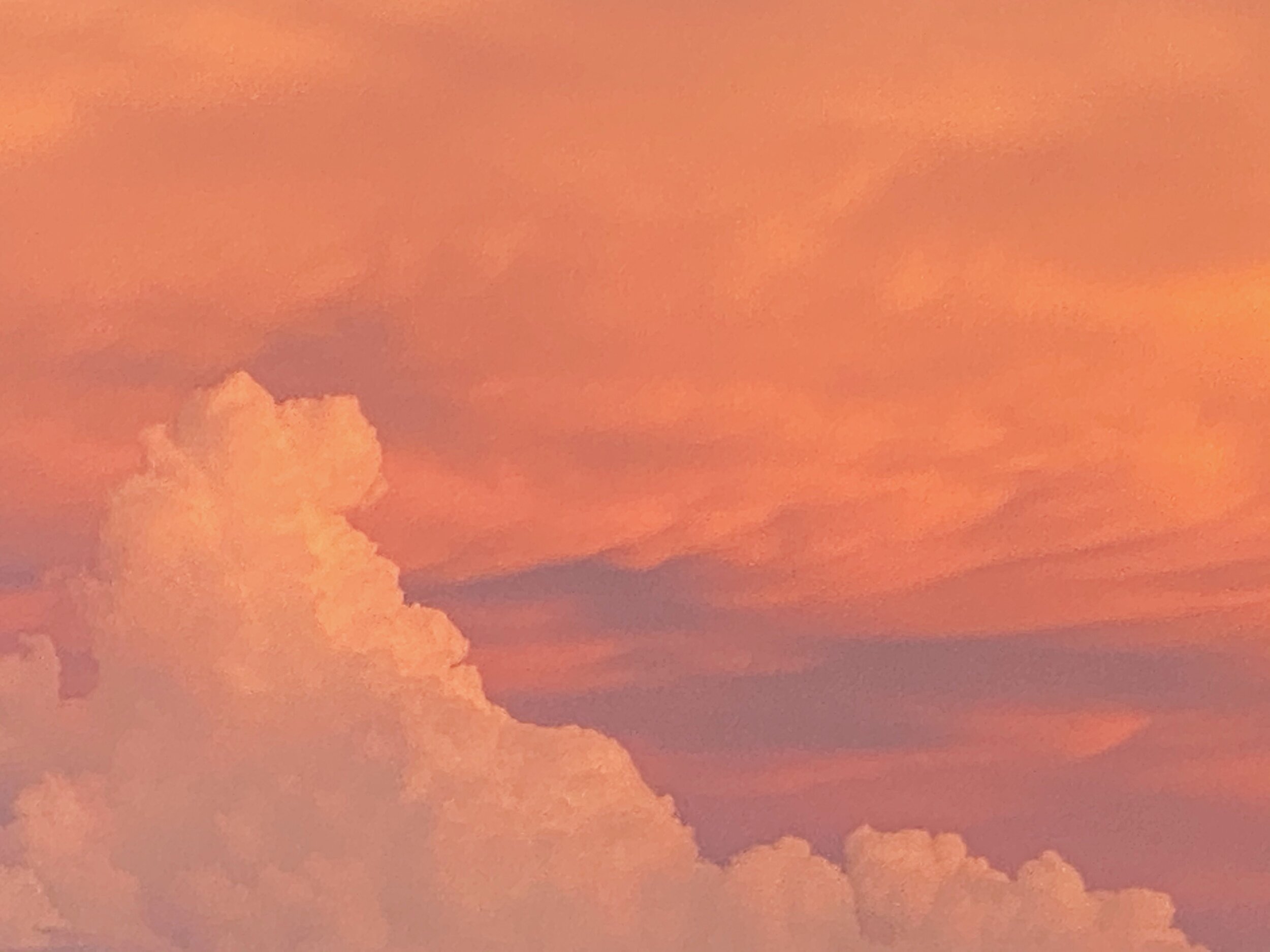 vsco5f446f69f39cb.jpg