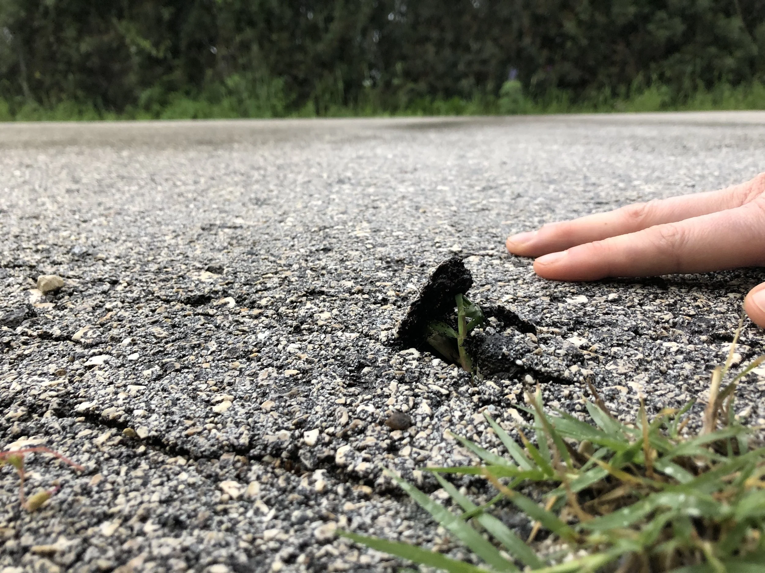 HIGH FIVE! Let’s celebrate