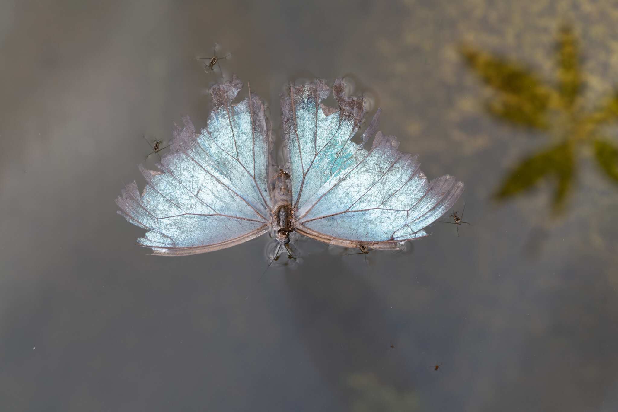 L1010514.jpg