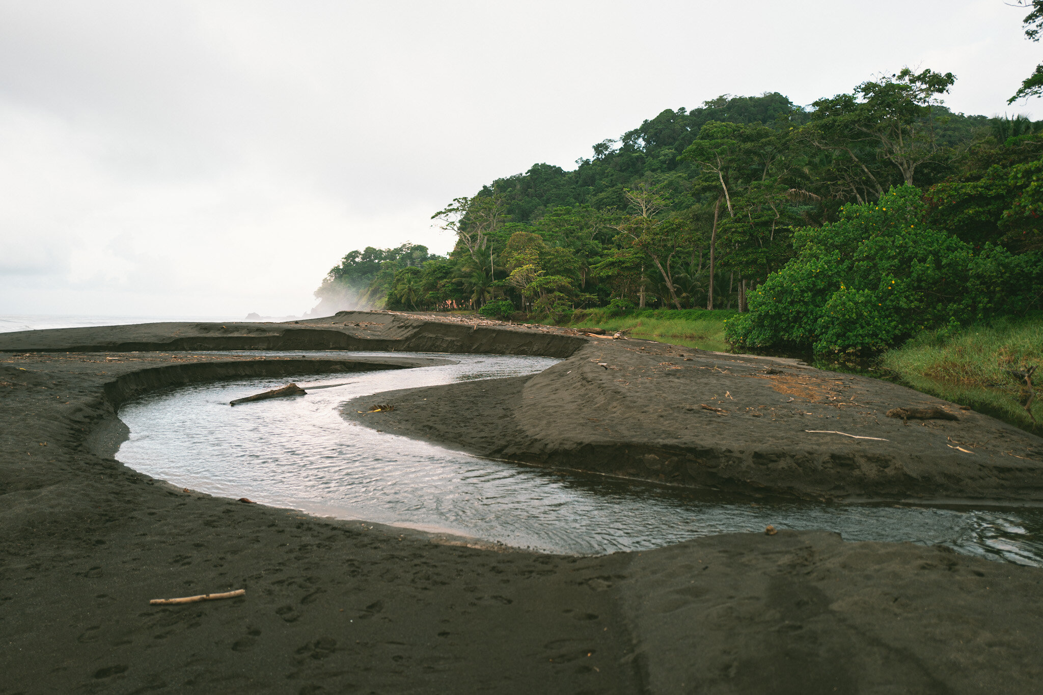 L1000817.jpg