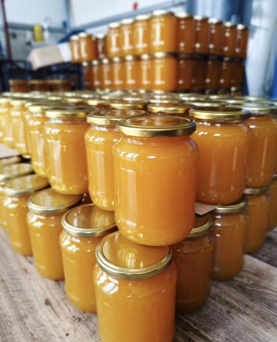 Sommerhonig – Wildblüte in Gold 500g