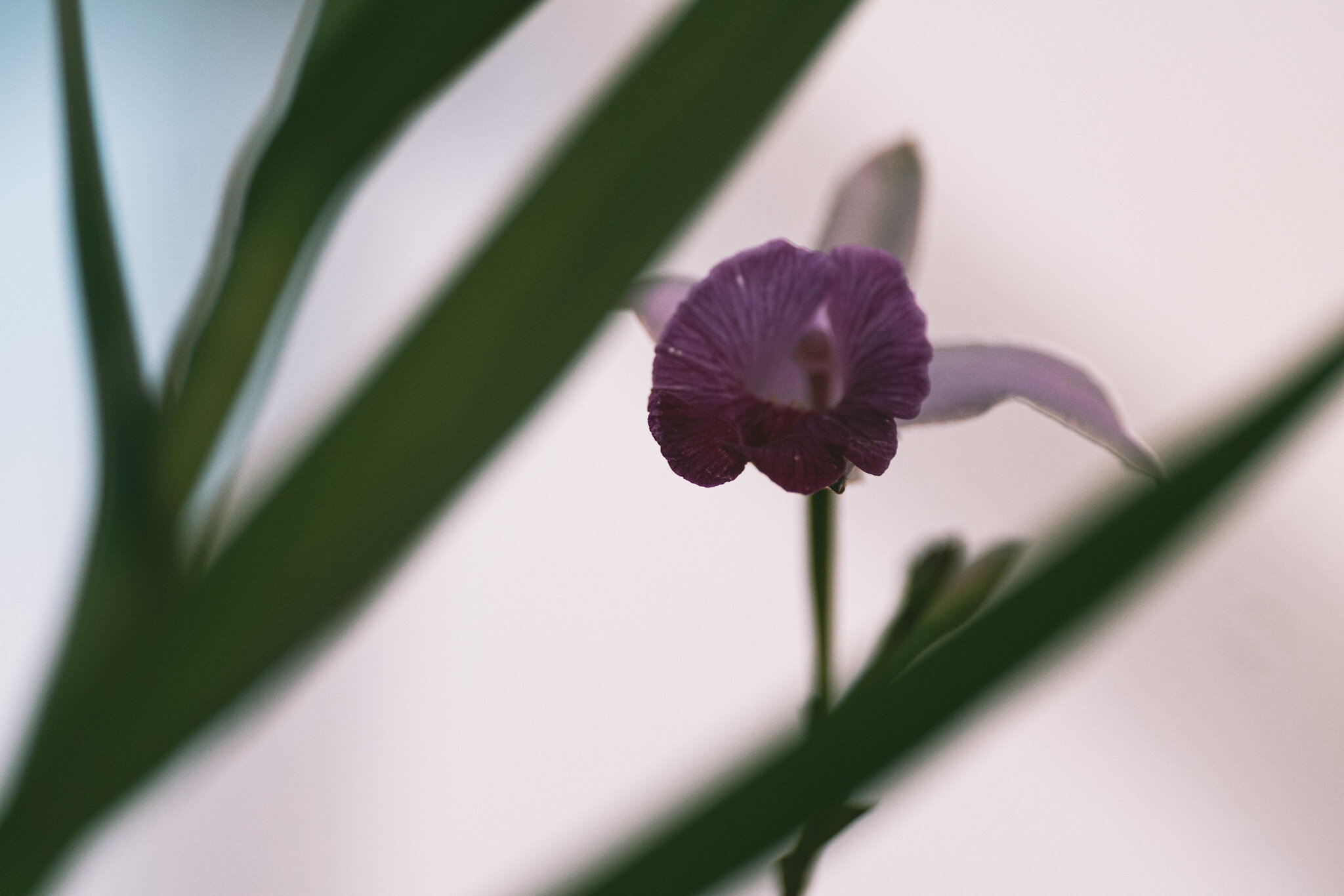 L1010185.jpg