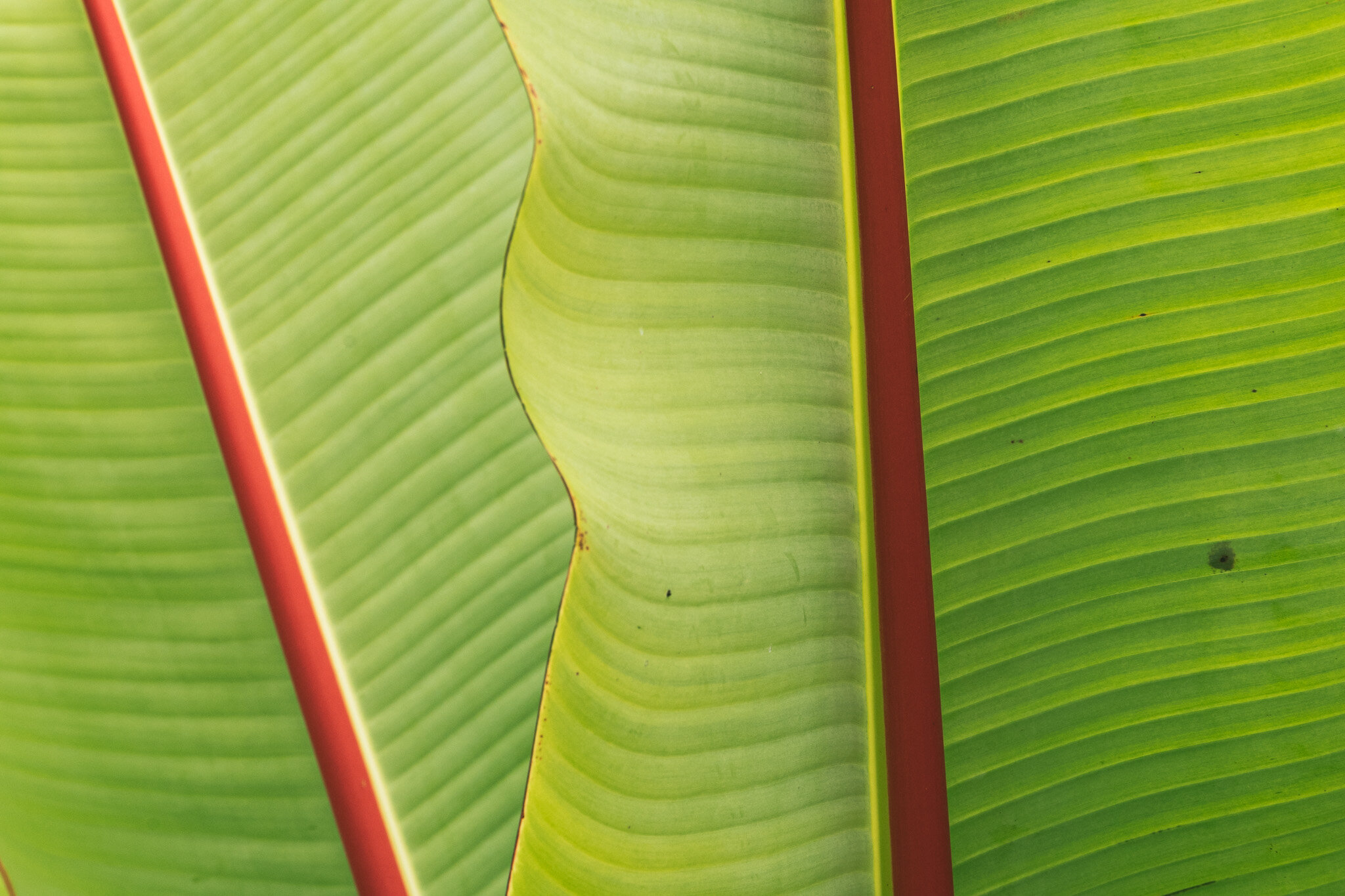 L1010231.jpg