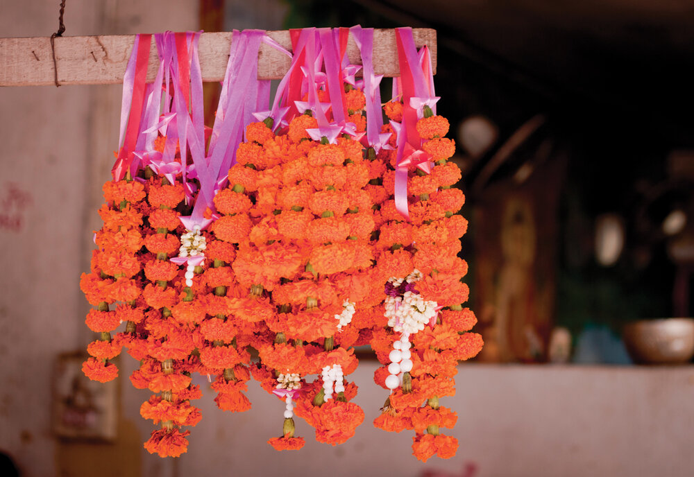  Marigolds are the primary flower for offerings in Laos. Their name, dauw heuang, means “shining star.” (Vientiane, Laos)   