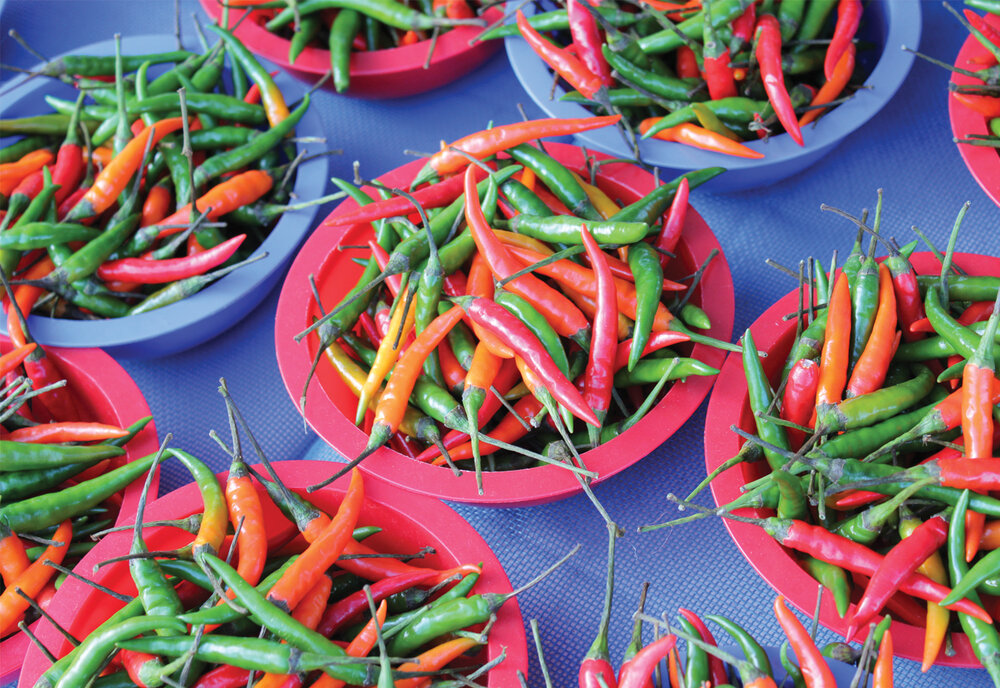 Chilies for sale at the Hickory, NC, flea market. Peppers, sticky rice, and other Asian vegetables are farmed by Hmong in the surrounding region.  