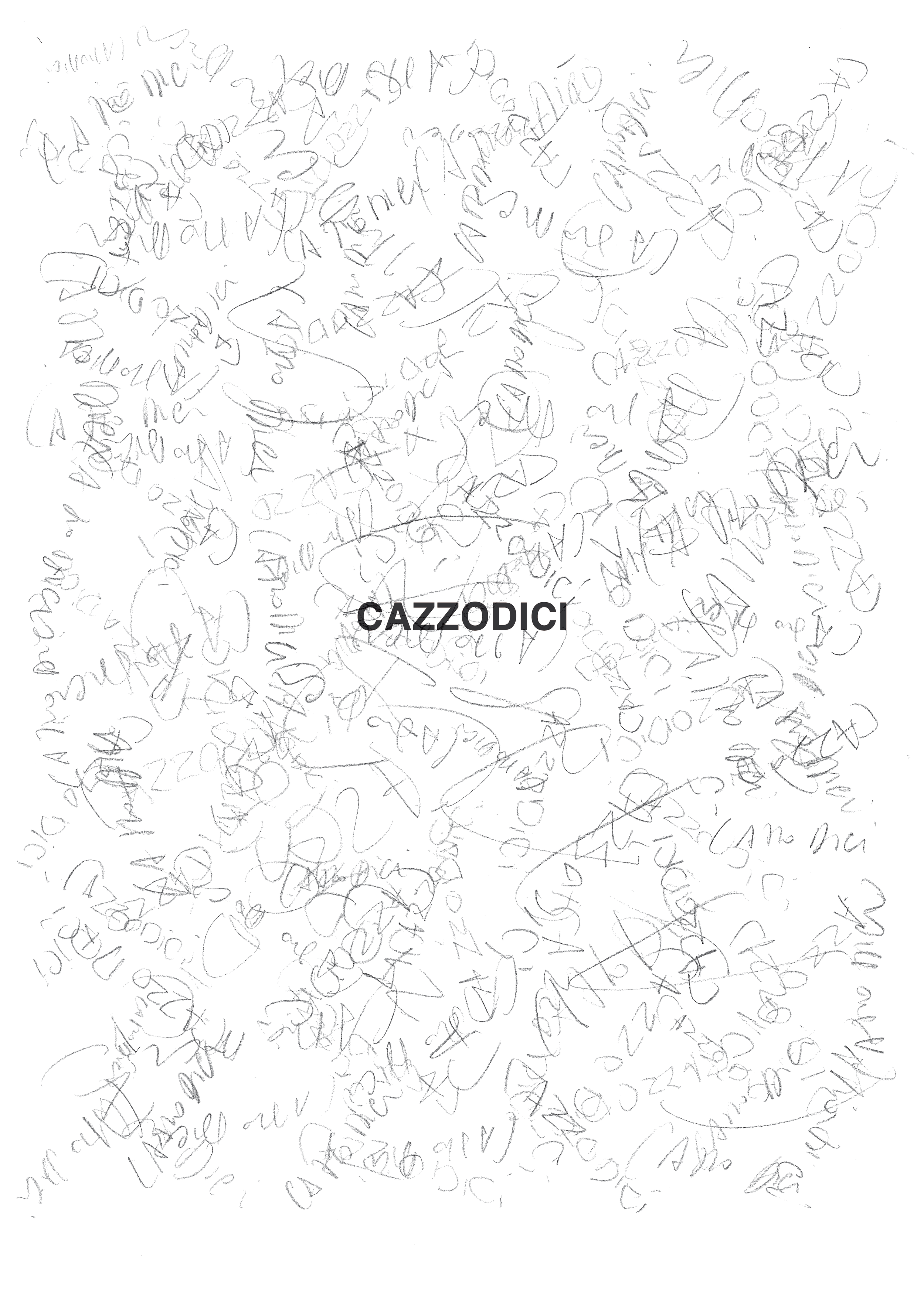 cazzodici.png