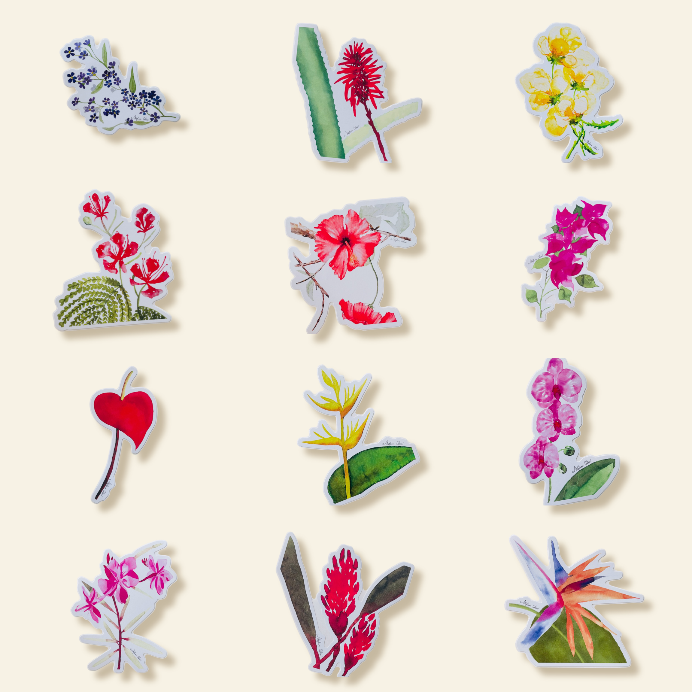 Untitled design (24).png