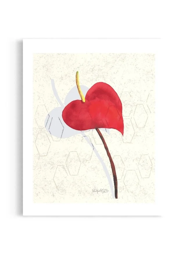 Anthurium Giclée Print
