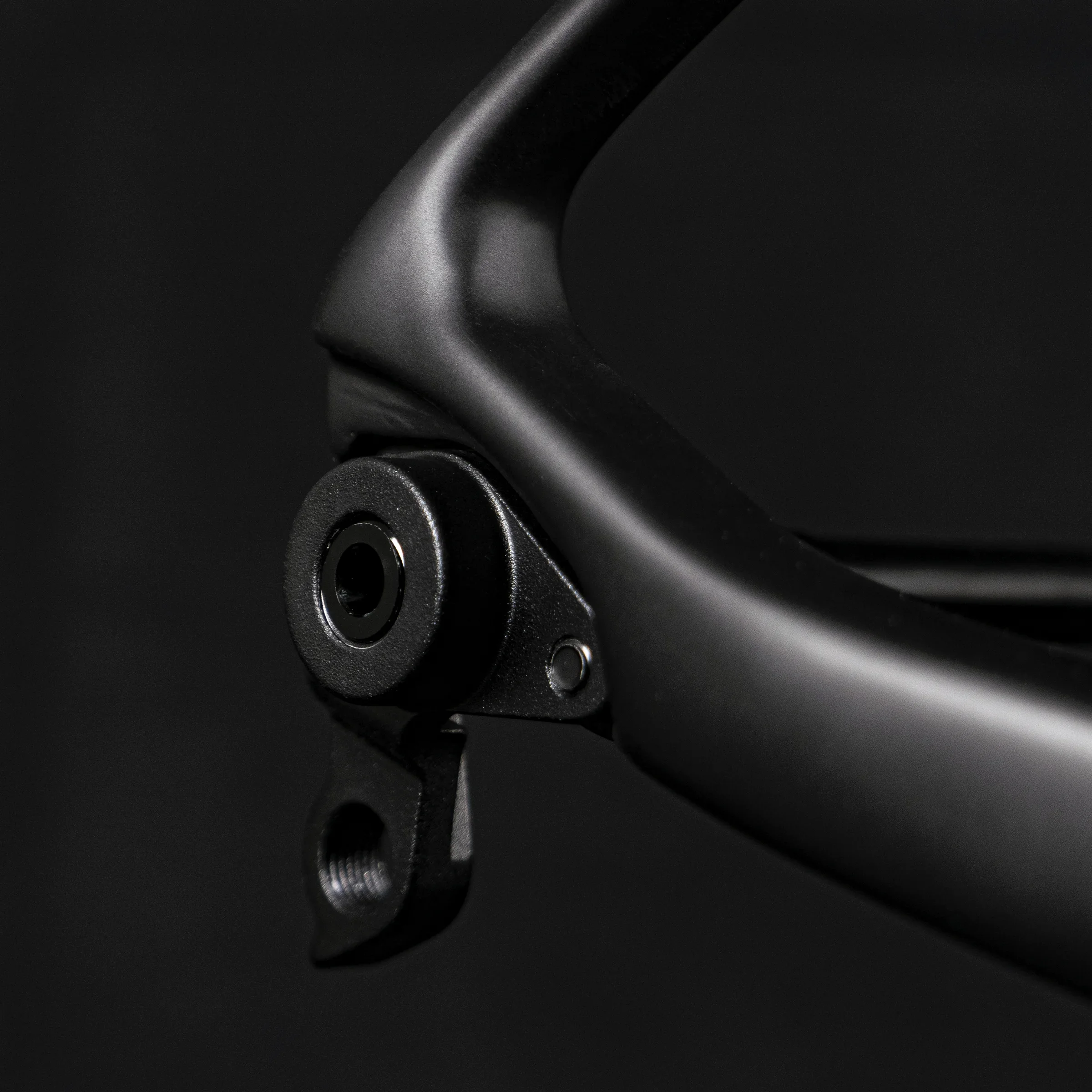 basic-bikes-carbon-rahmenset-road-ansicht-schaltauge-02 .webp