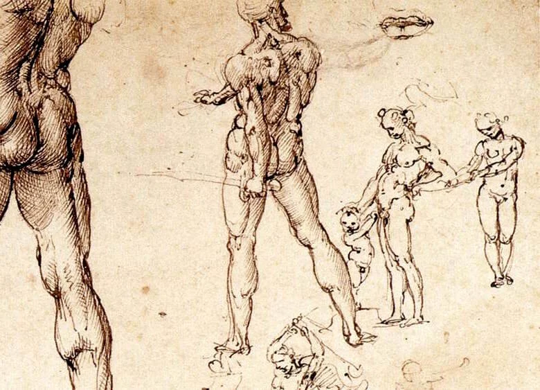 Leonardo da Vinci Butts Cropped.jpg